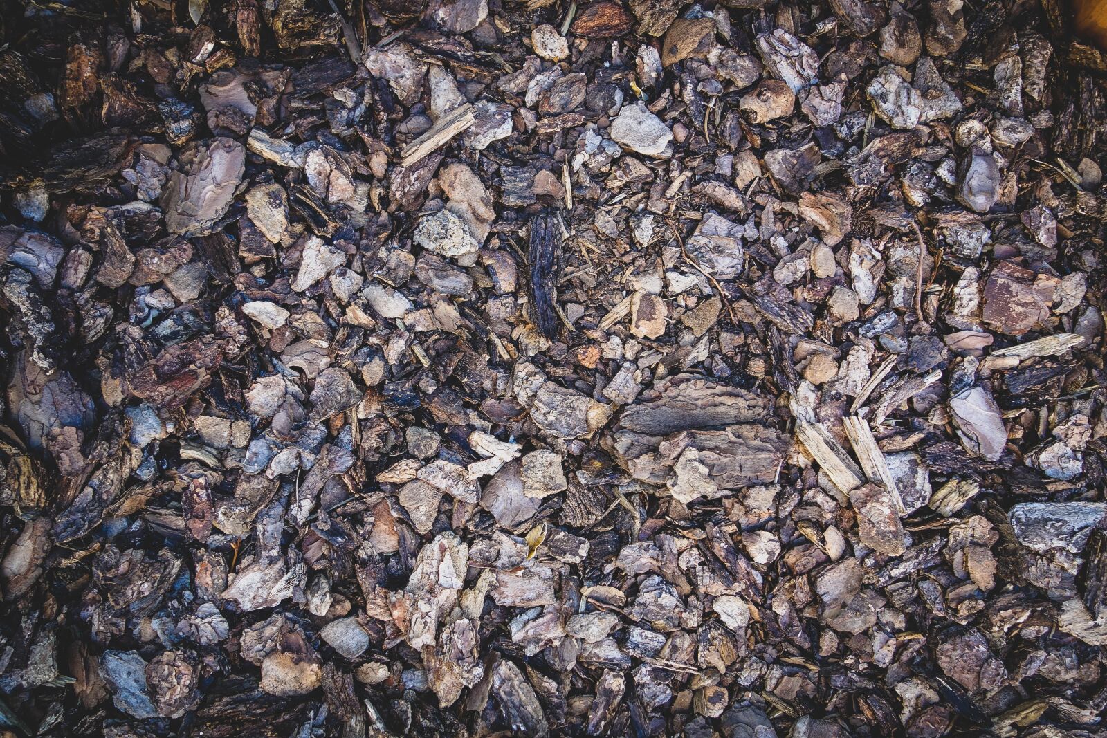 Sony Cyber-shot DSC-RX100 sample photo. Earth, dirt, bark mulch photography