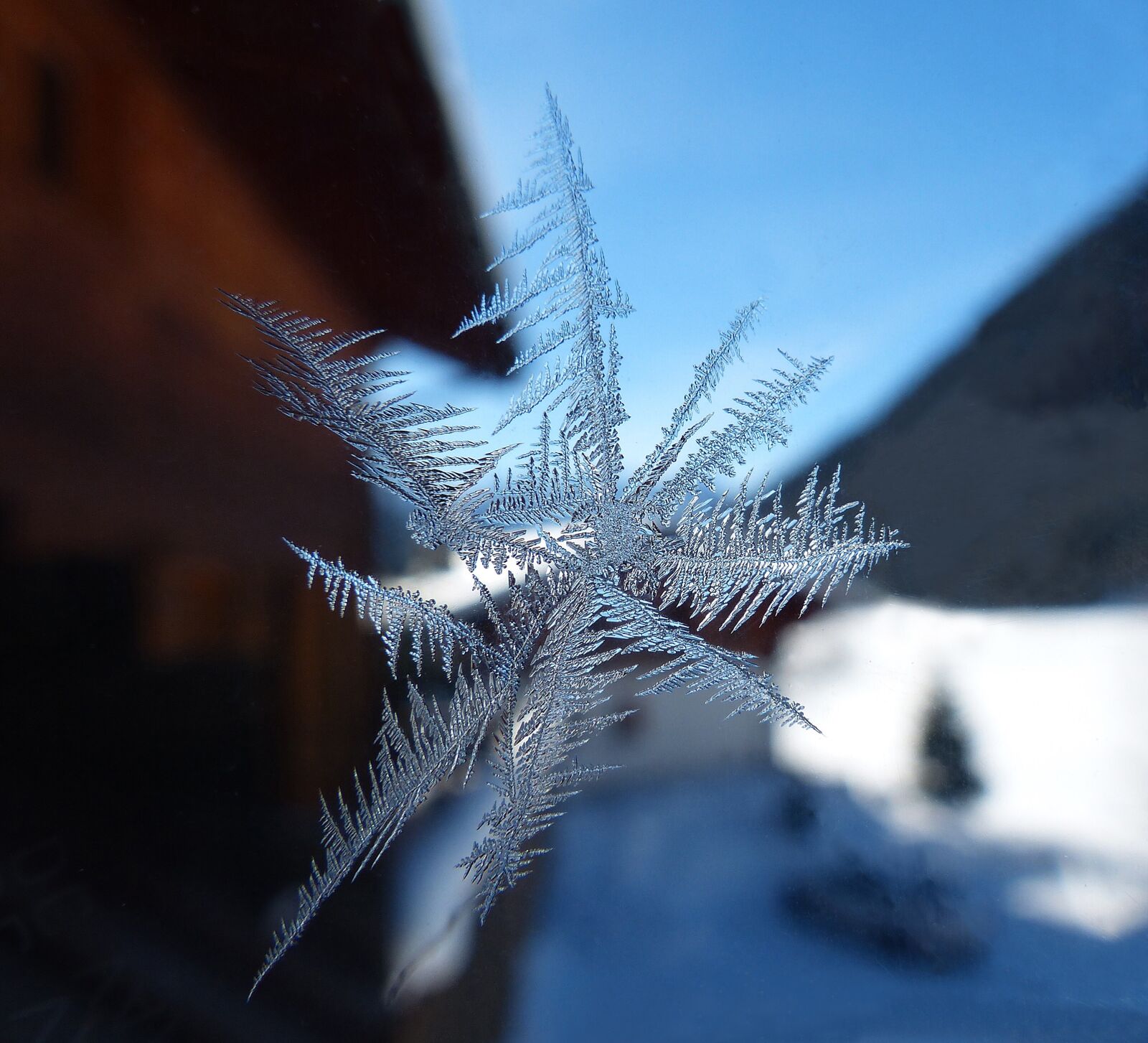 Panasonic Lumix DMC-FZ200 sample photo. Frost, crystal, ice photography