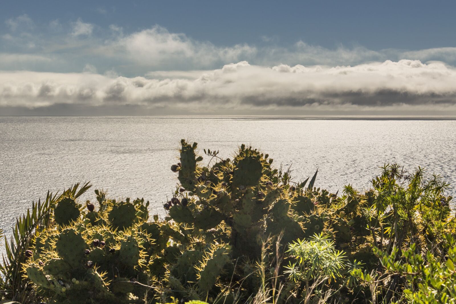 Canon EOS 70D sample photo. Atlantic, la palma, ocean photography