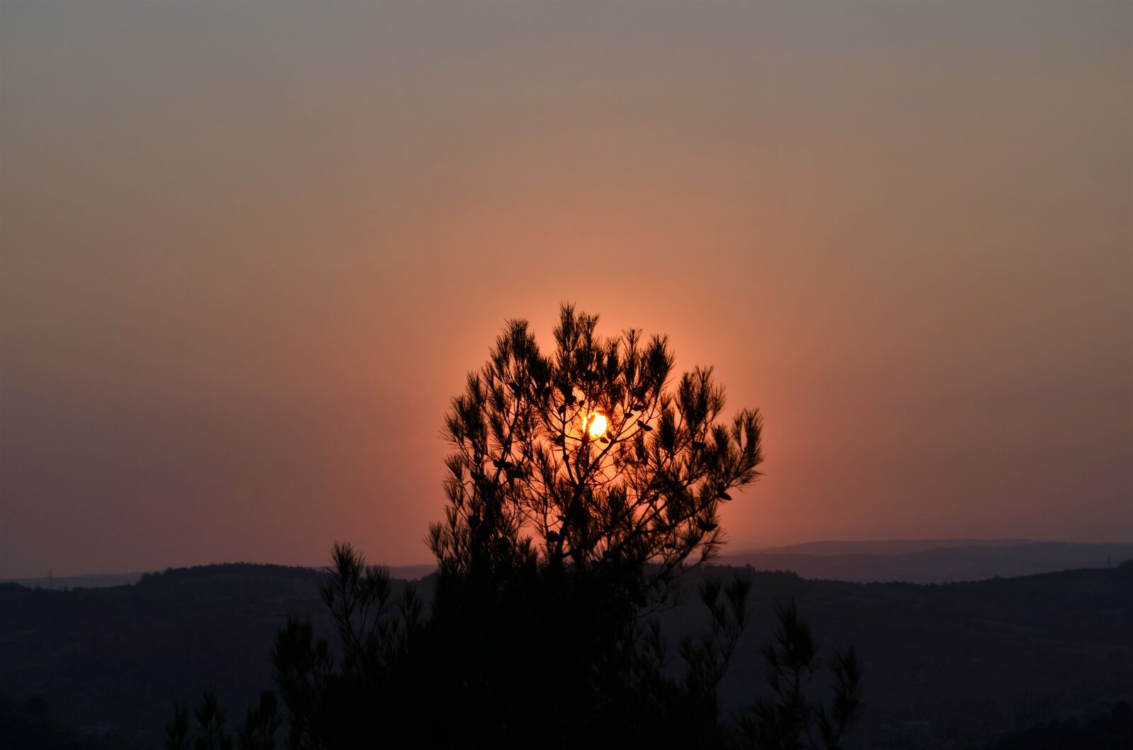 Nikon D5100 sample photo. Solar, nature, sky photography