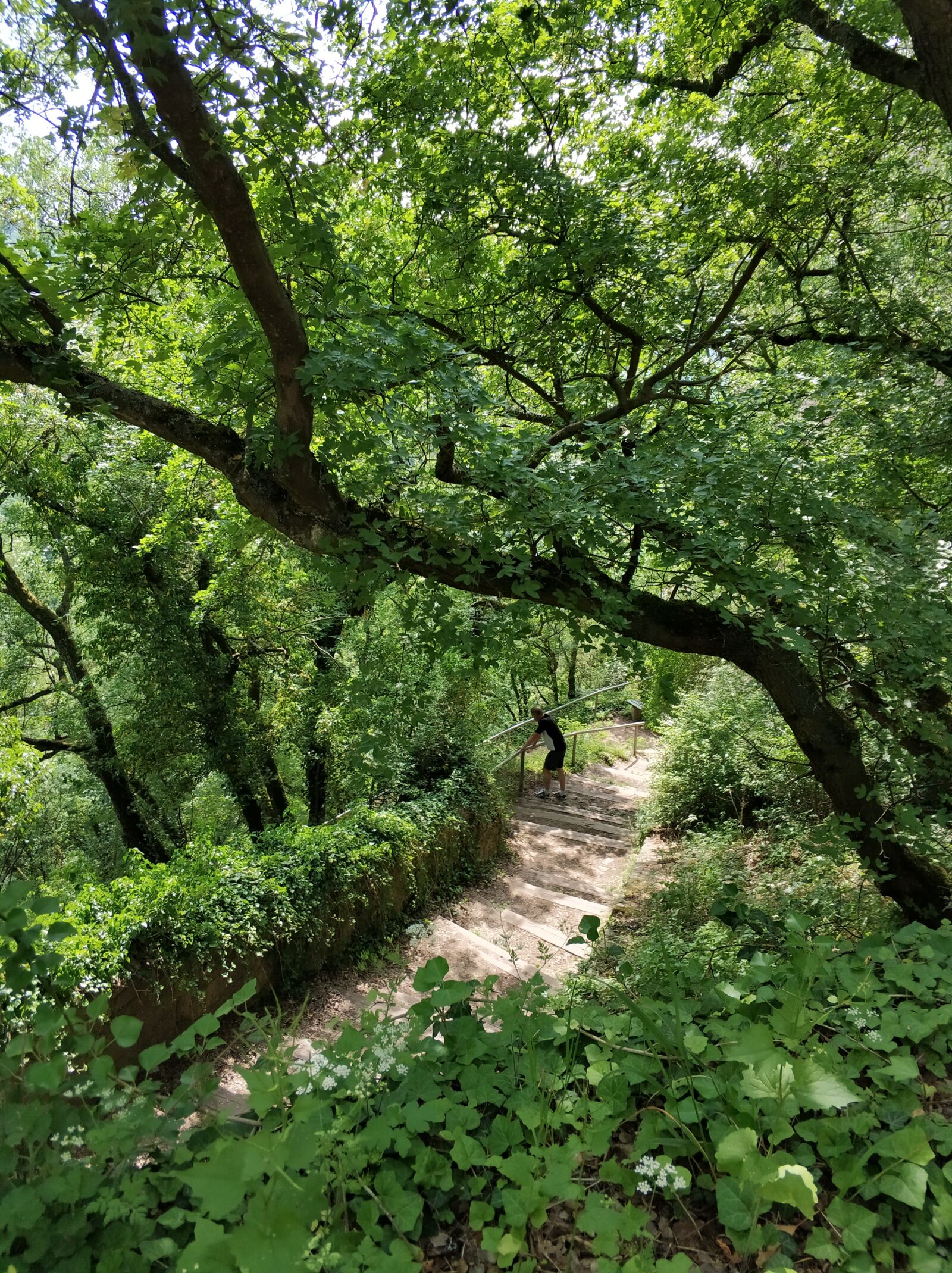 Xiaomi Mi Note 3 sample photo. Hiking, mountain, summer photography