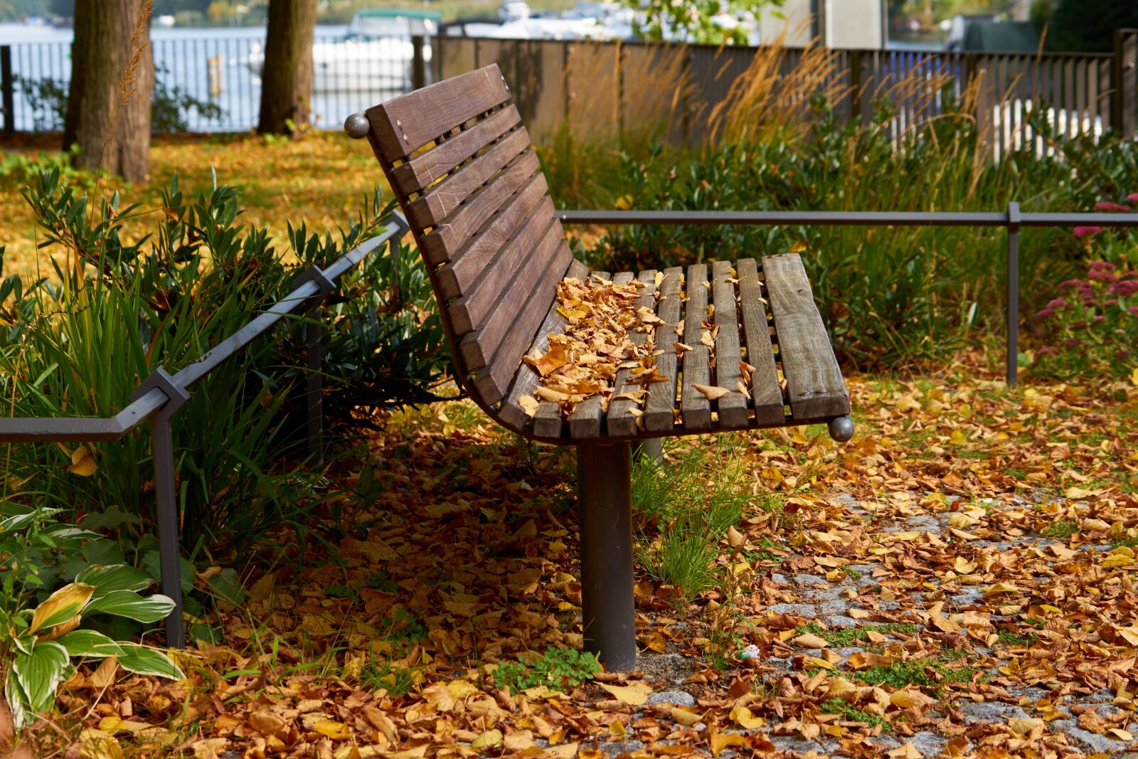 Sony FE 70-200mm F4 G OSS sample photo. Autumn, season, bank photography
