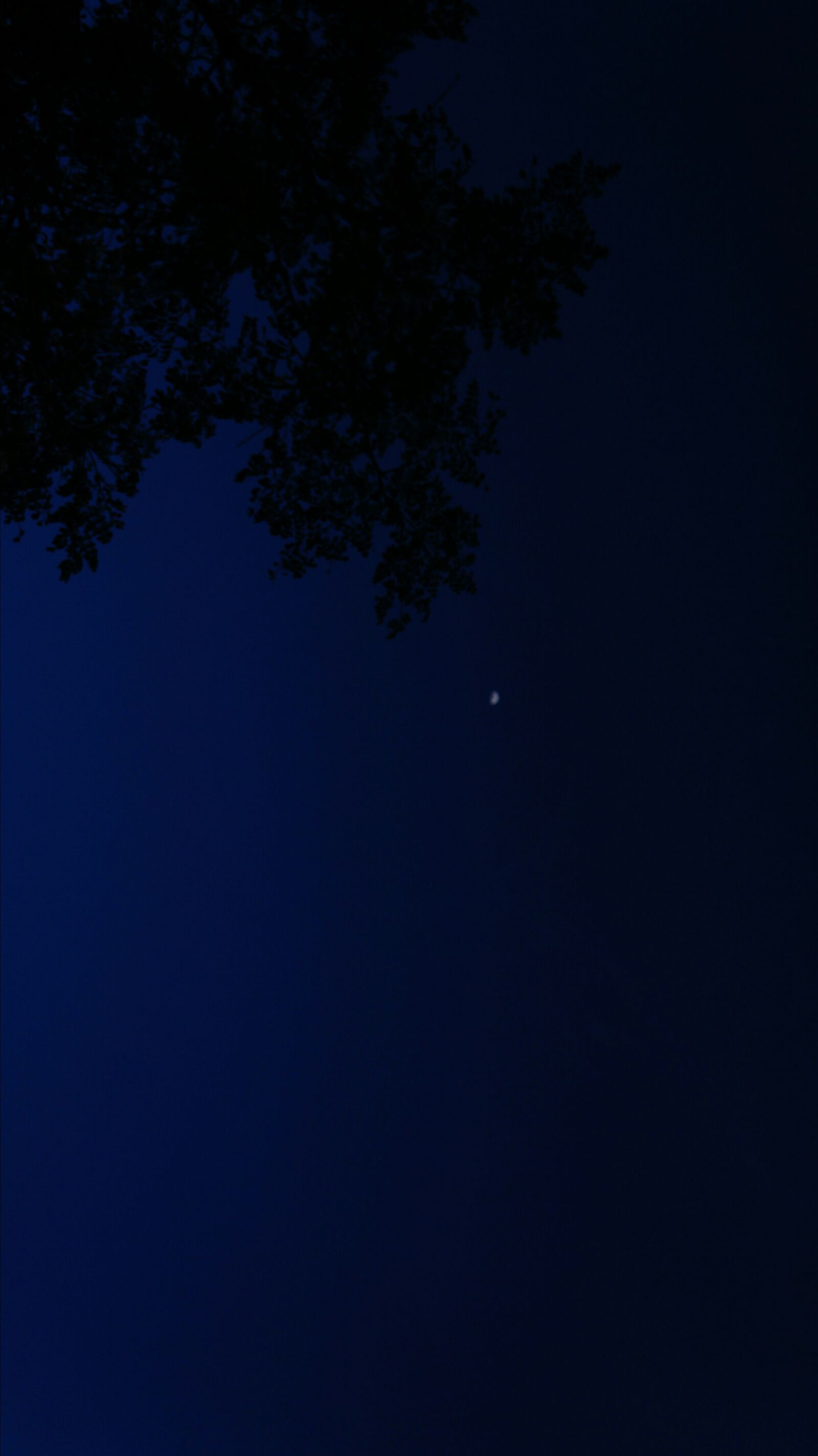 Sony Alpha NEX-5N sample photo. Bliss, blue, night, sky photography