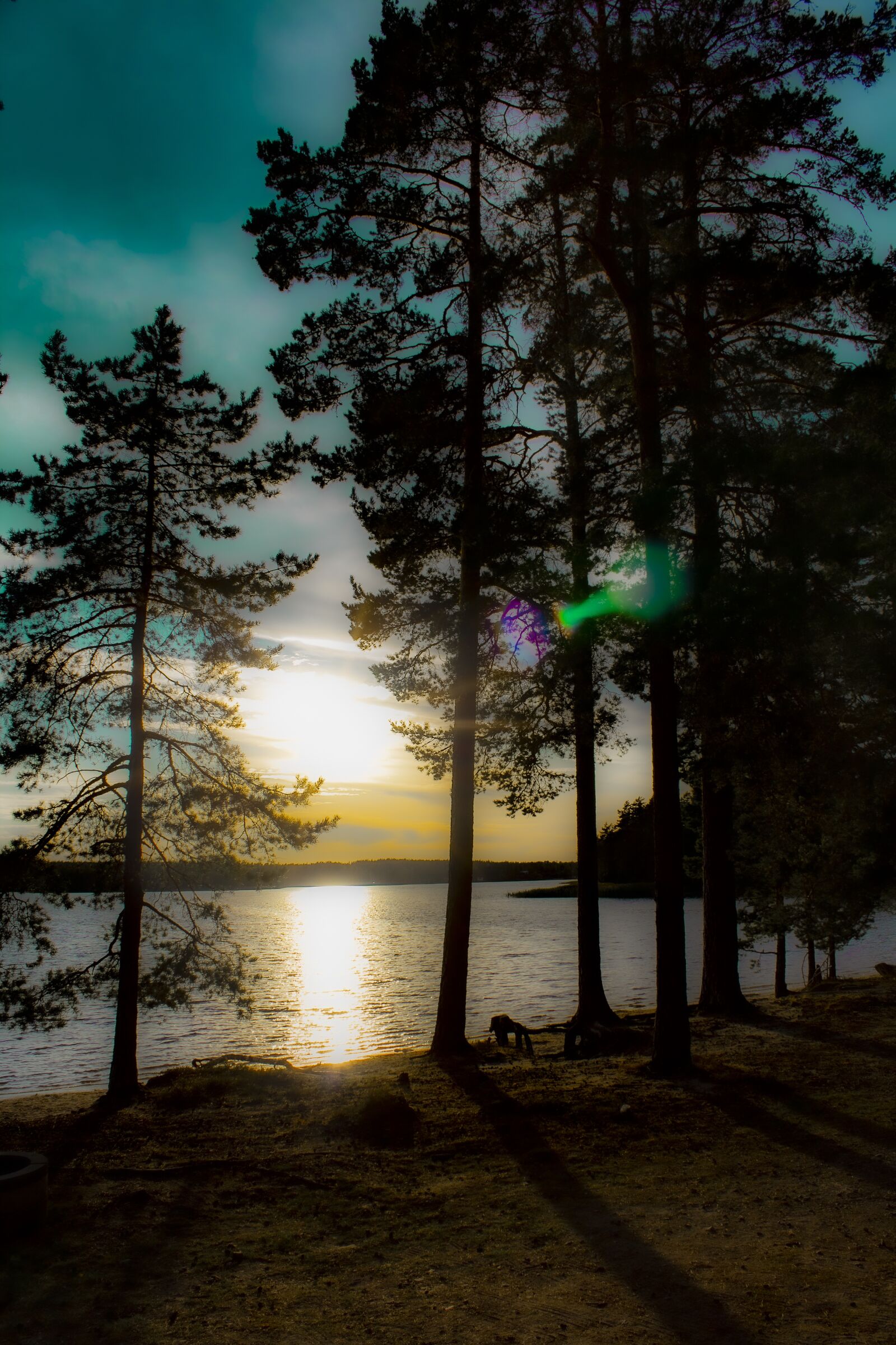 Canon EOS 1200D (EOS Rebel T5 / EOS Kiss X70 / EOS Hi) sample photo. Sweden, sunset, abstract photography