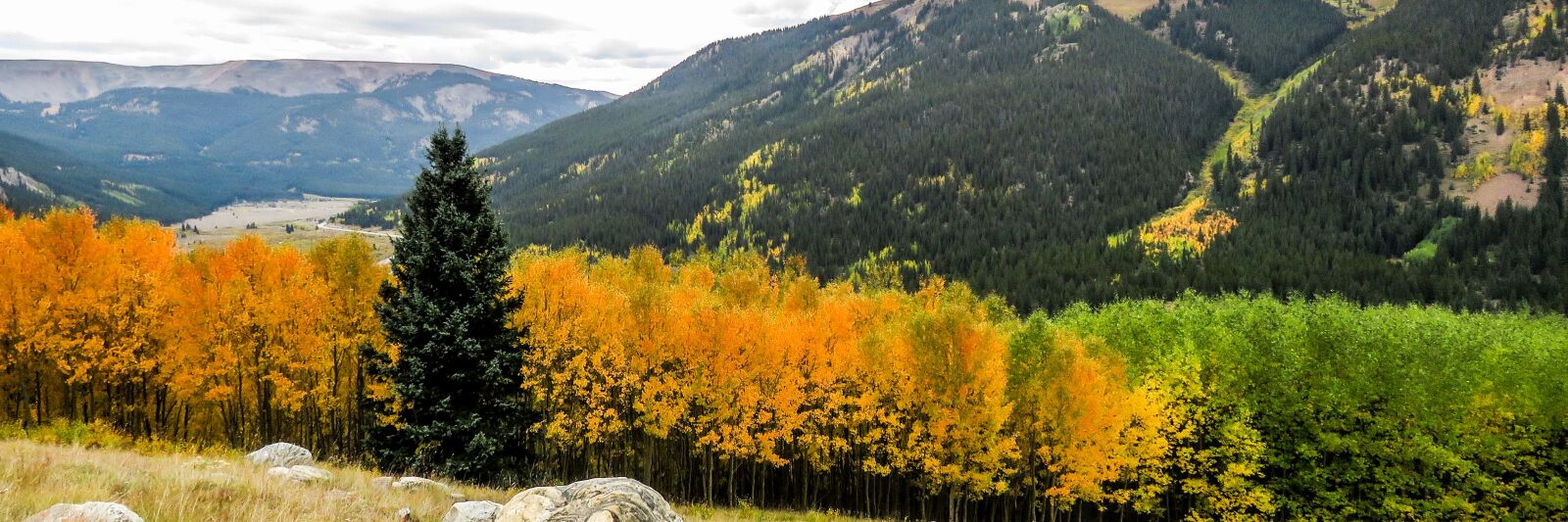 Canon PowerShot SX60 HS sample photo. Fall, colorado, aspens photography