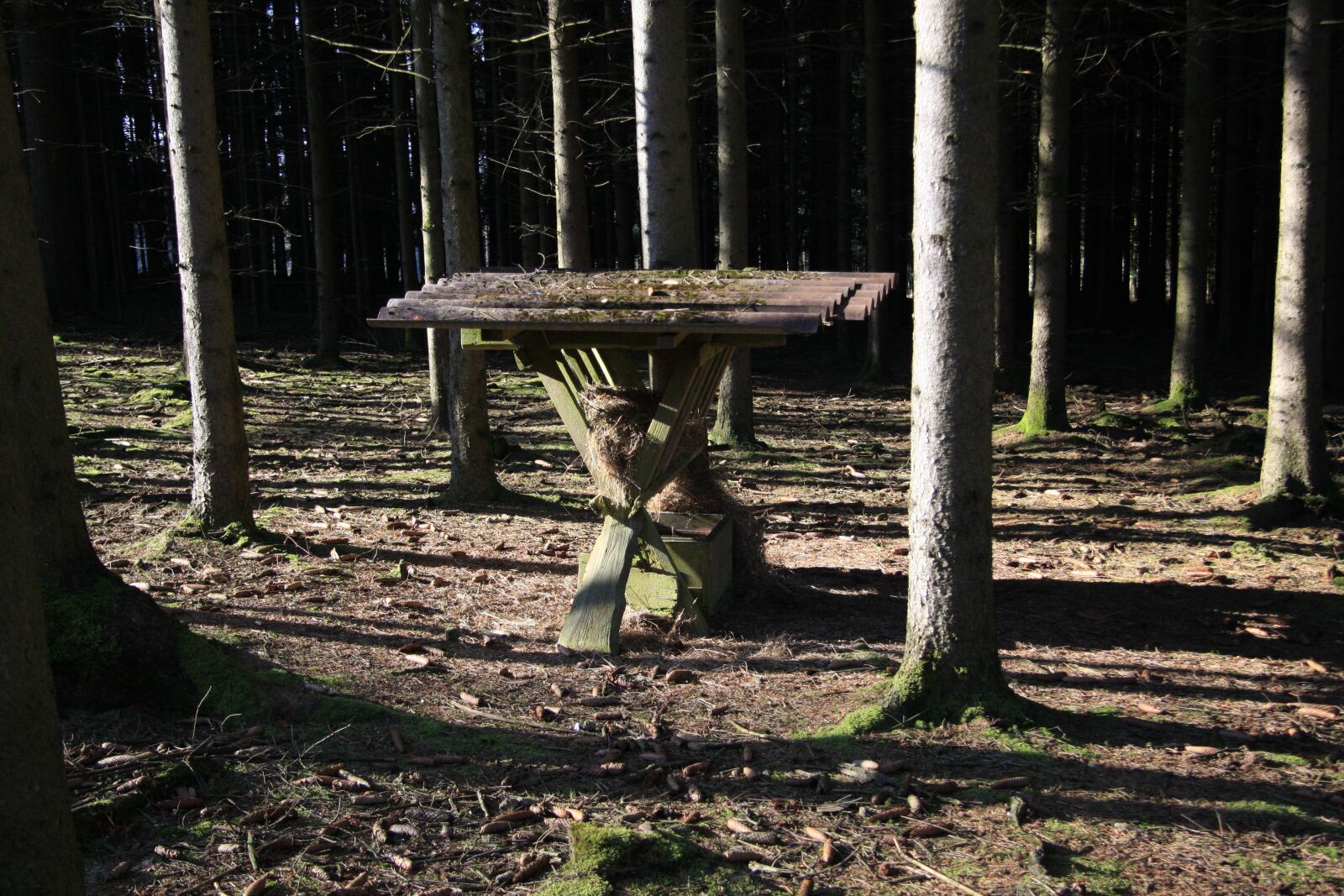 Canon EOS 40D sample photo. Forest, feeding, crib photography