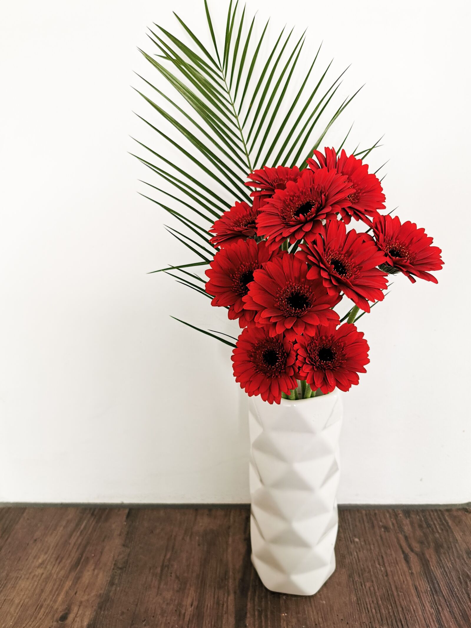 HUAWEI P30 Pro Rear Main Camera sample photo. Gerbera, flower, flowers photography