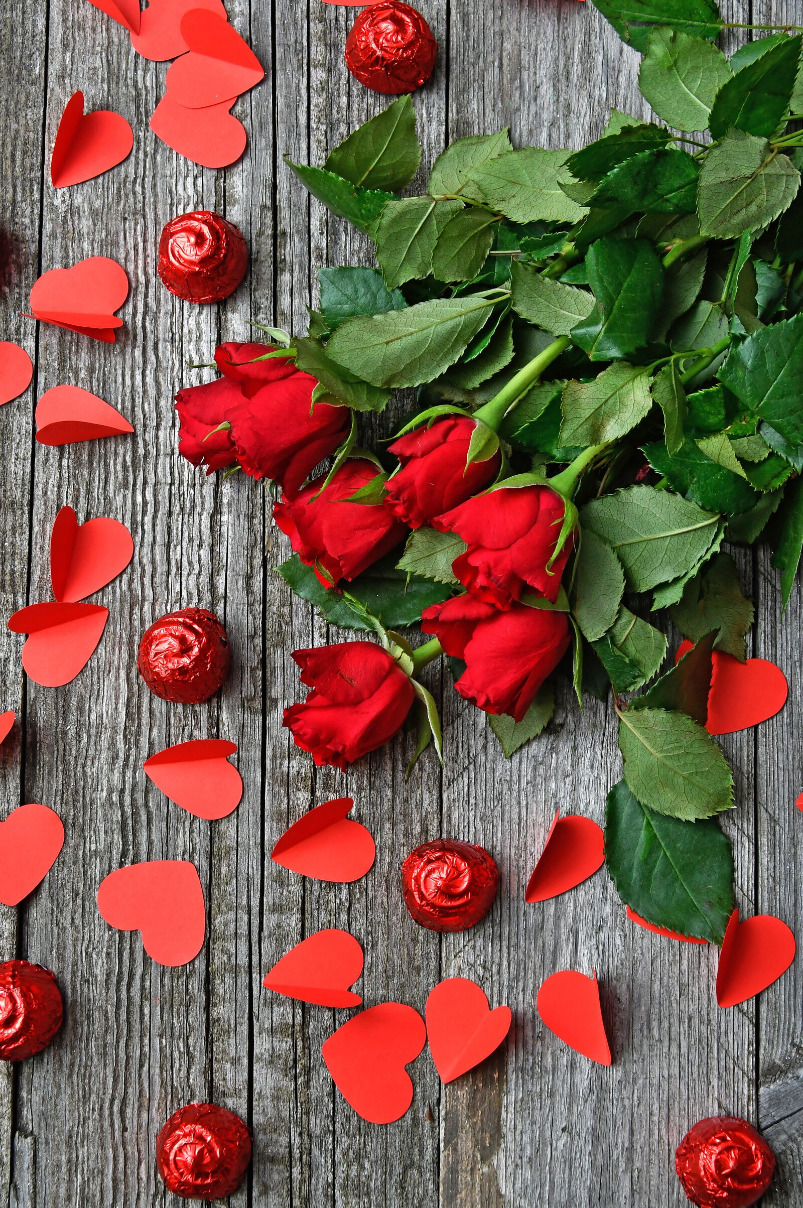 Nikon D3200 sample photo. Rose, valentine's, valentine's day photography