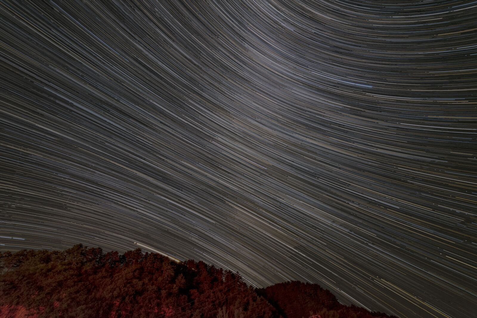 Nikon D750 sample photo. Sky, night, star photography