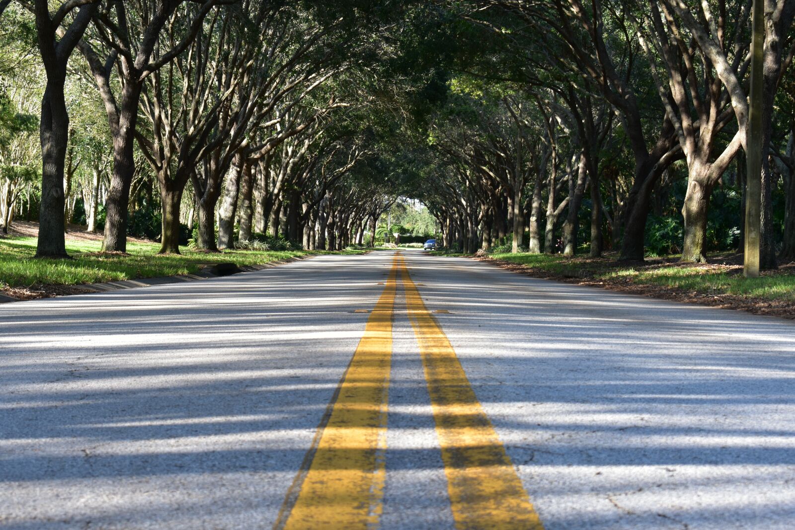 Nikon D3400 sample photo. Road, pavement, asphalt photography