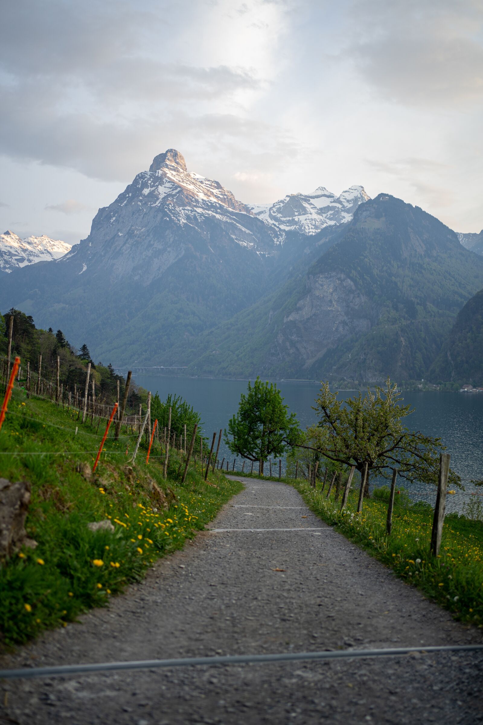 Sony FE 35mm F1.8 sample photo. Switzerland, mountain, landscape photography