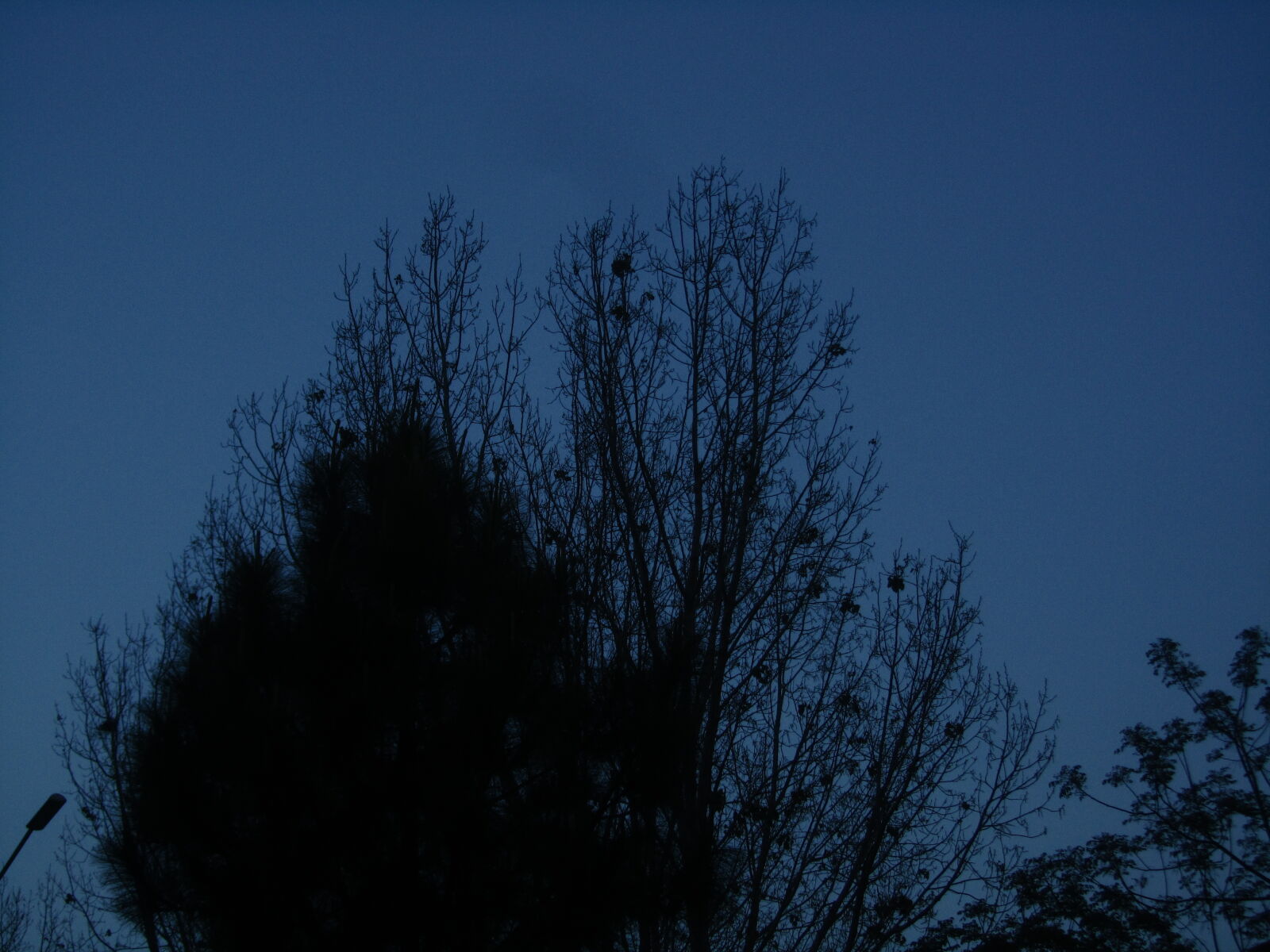 Canon PowerShot SX210 IS sample photo