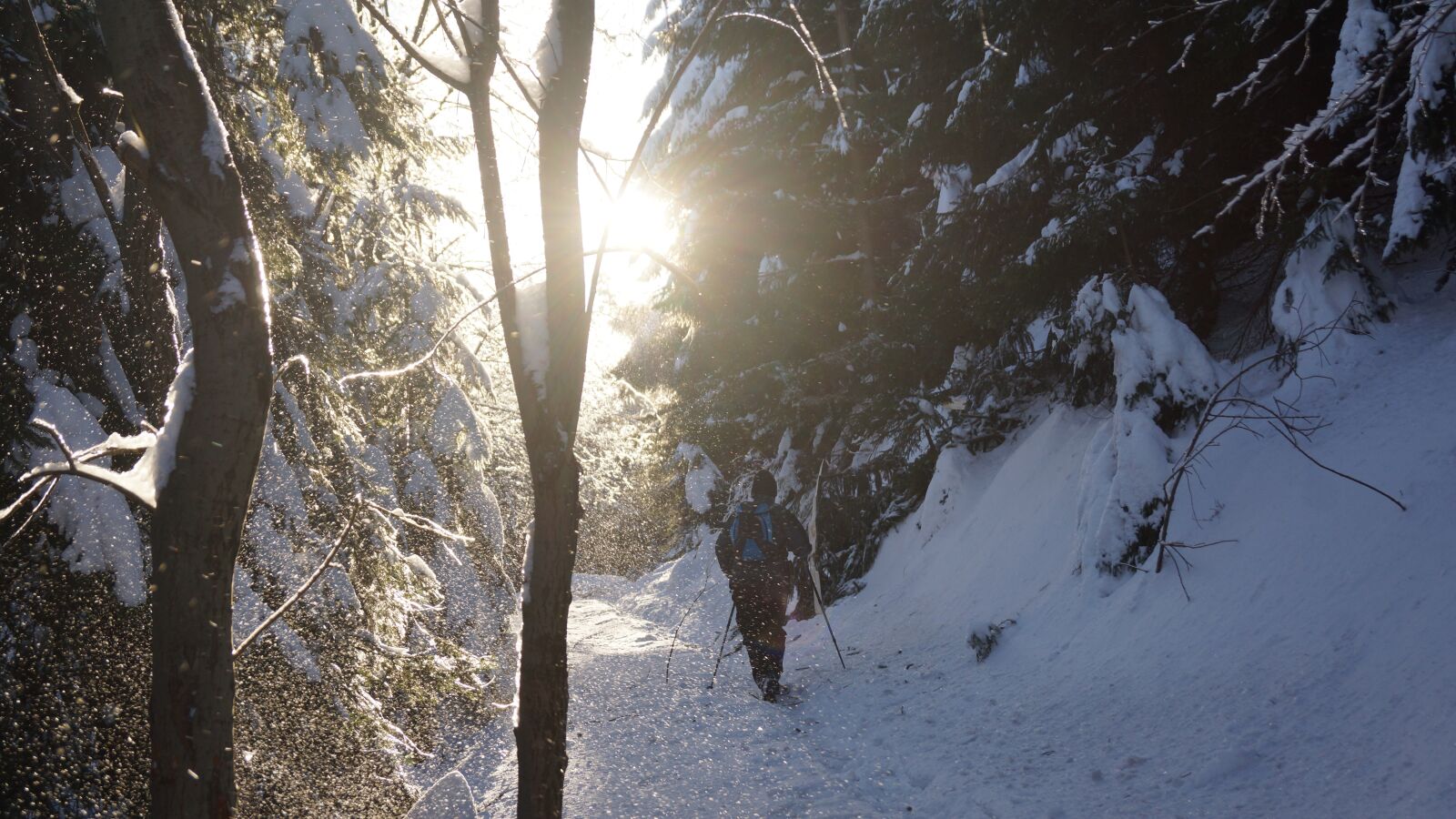 Sony SLT-A65 (SLT-A65V) sample photo. Snow, mountains, march photography