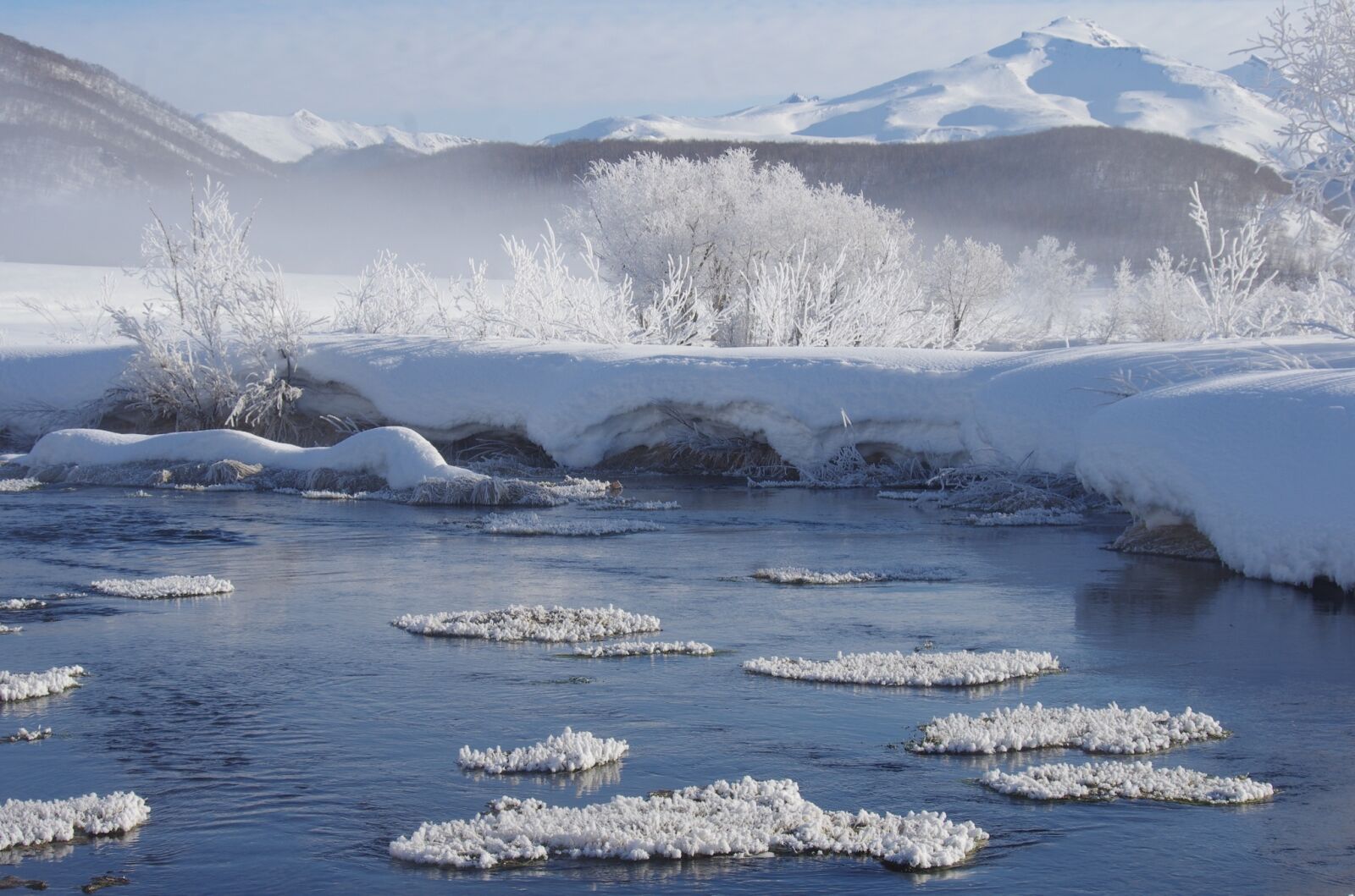 Pentax K-5 sample photo. Winter, snow, frost photography