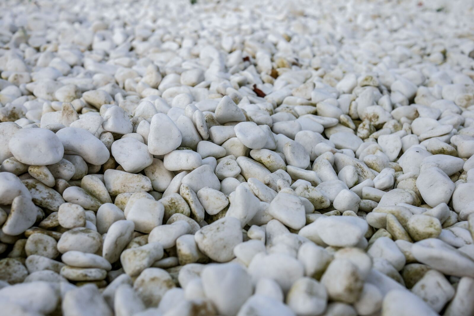 LUMIX G 20/F1.7 II sample photo. The stones, gray, the photography