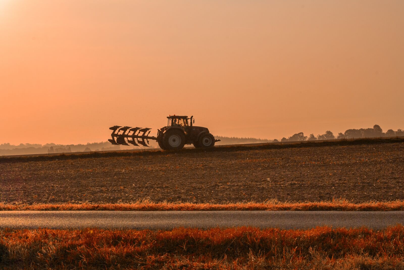 Nikon D80 sample photo. Field, tractor, fields photography