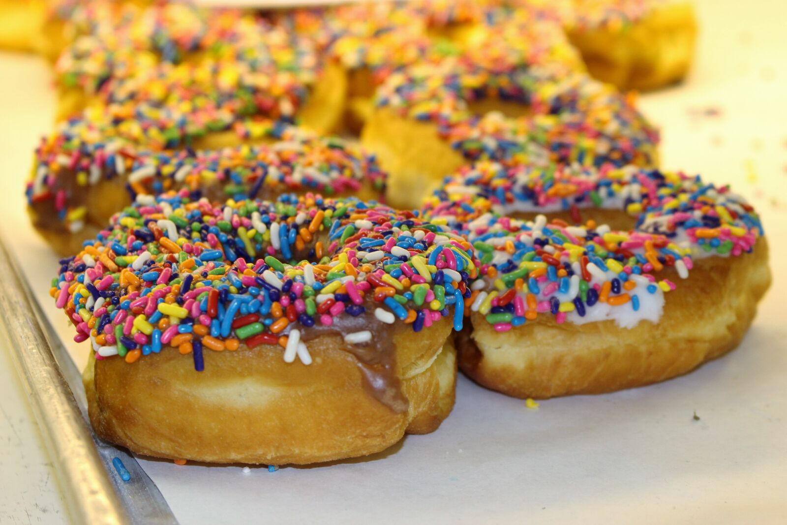 Canon EOS 100D (EOS Rebel SL1 / EOS Kiss X7) sample photo. Donuts, dessert, farmers market photography