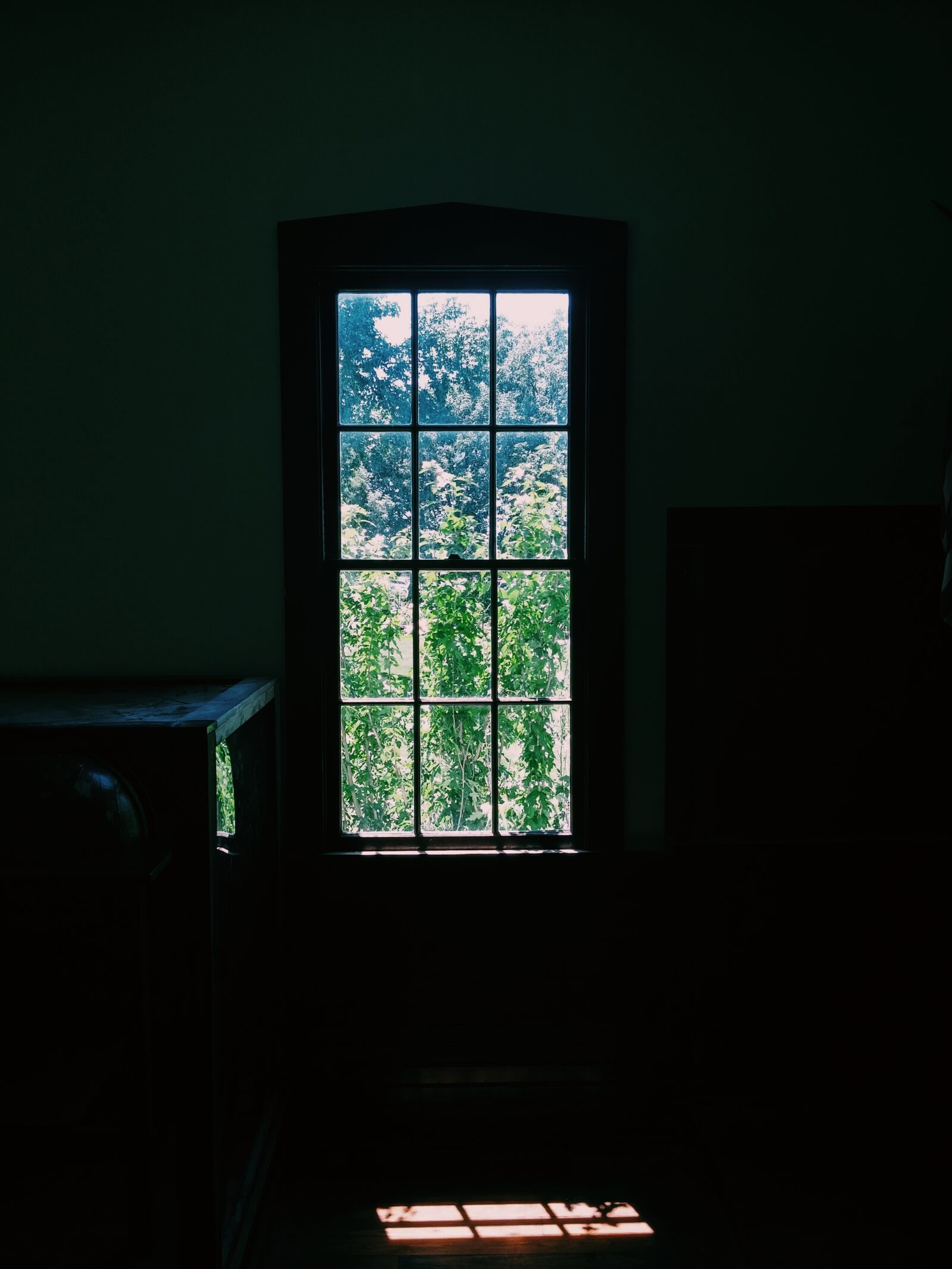 LG G3 sample photo. Light, window, bushes photography
