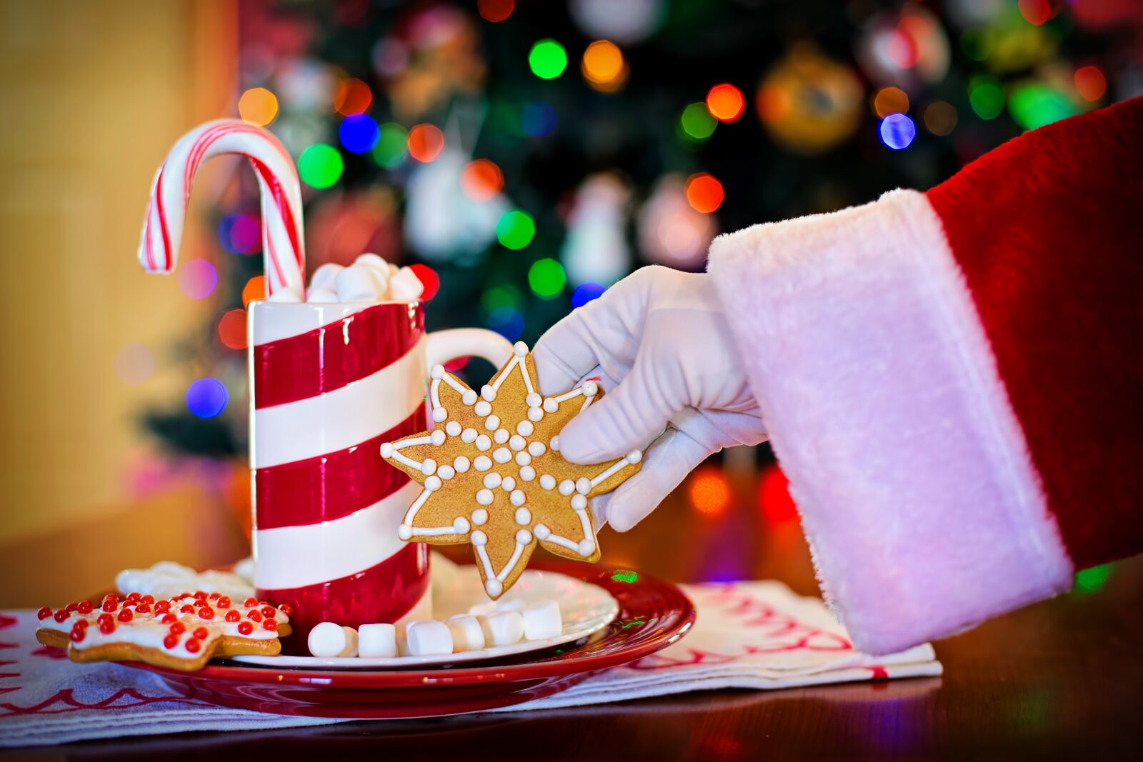 Canon EF 50mm F1.4 USM sample photo. Santa claus, cocoa, christmas photography