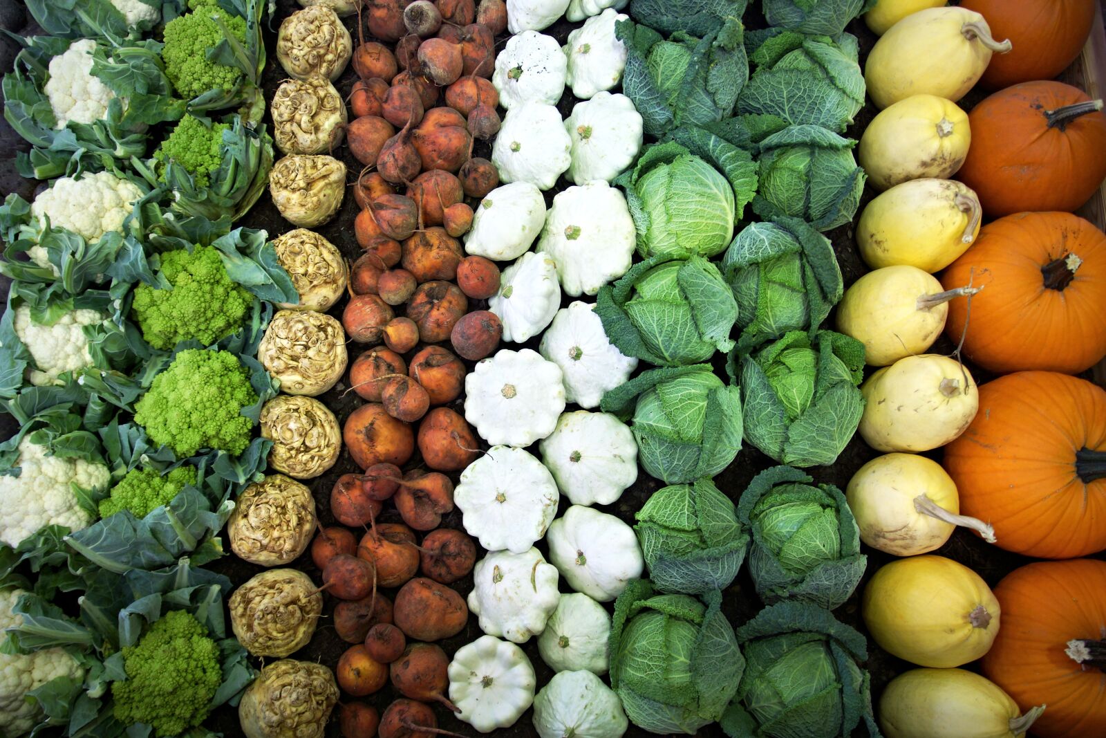 Sony SLT-A65 (SLT-A65V) sample photo. Vegetables, cauliflower, cabbage photography