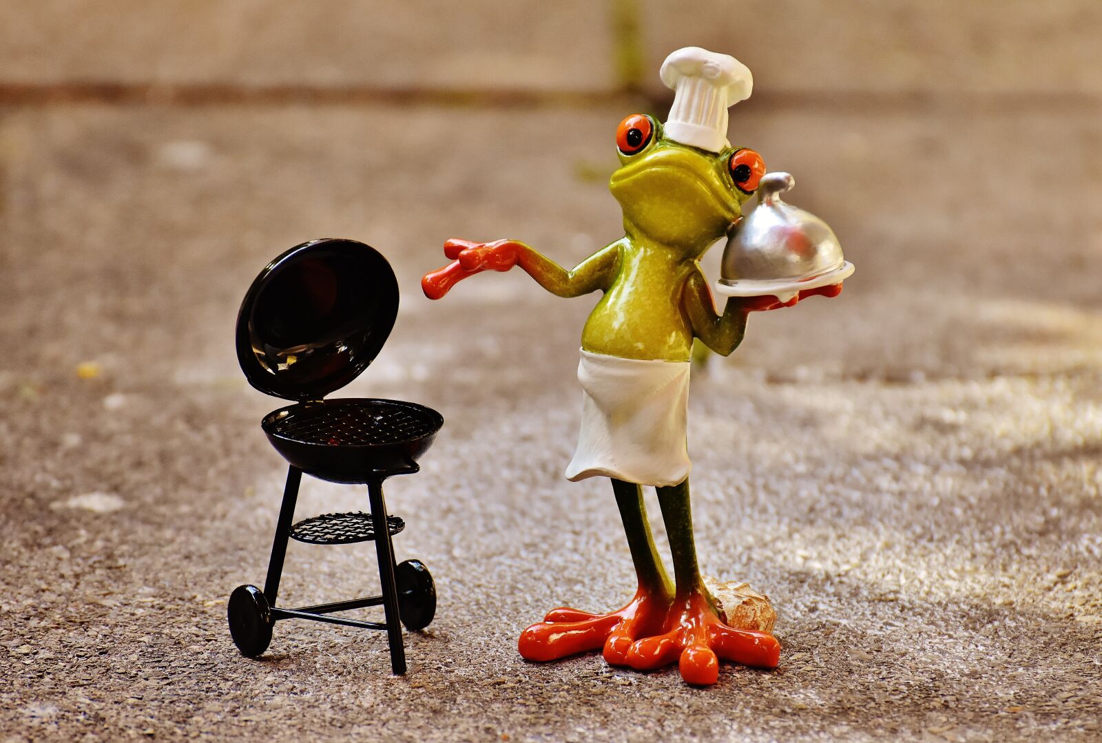 Nikon D7200 sample photo. Frog, cooking, grill photography