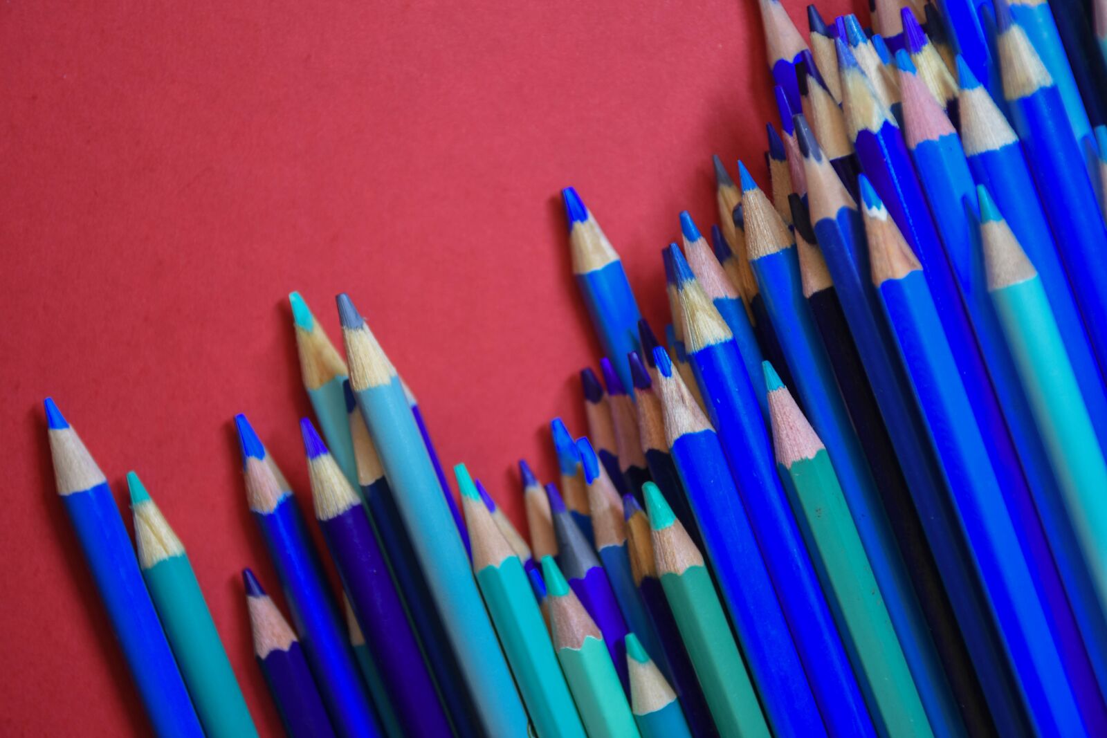 Nikon D7200 sample photo. Pencils, red, school photography