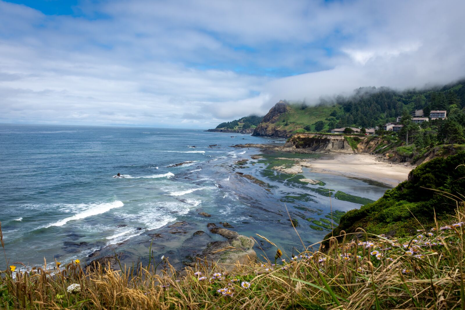 Nikon D7200 sample photo. Beach, ocean, flowers photography