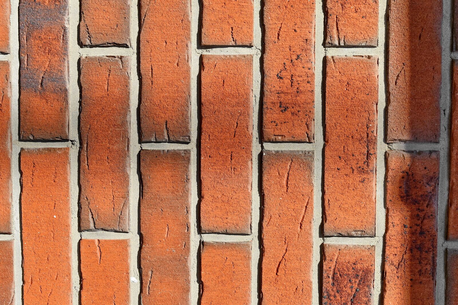 Nikon D5500 sample photo. Vertical, old, building, wall photography