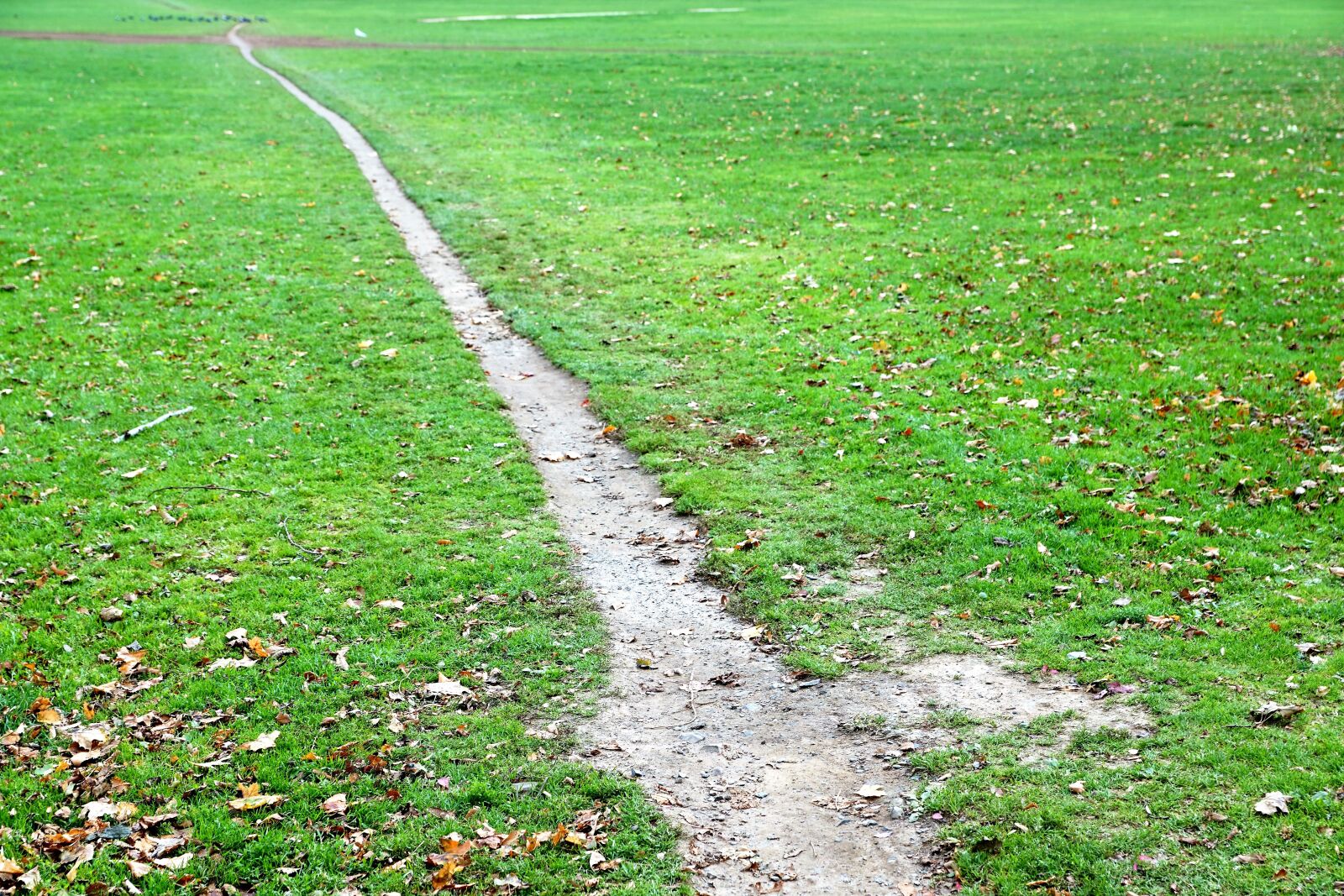 Sony ILCA-77M2 + Sony DT 16-50mm F2.8 SSM sample photo. Away, path, meadow photography