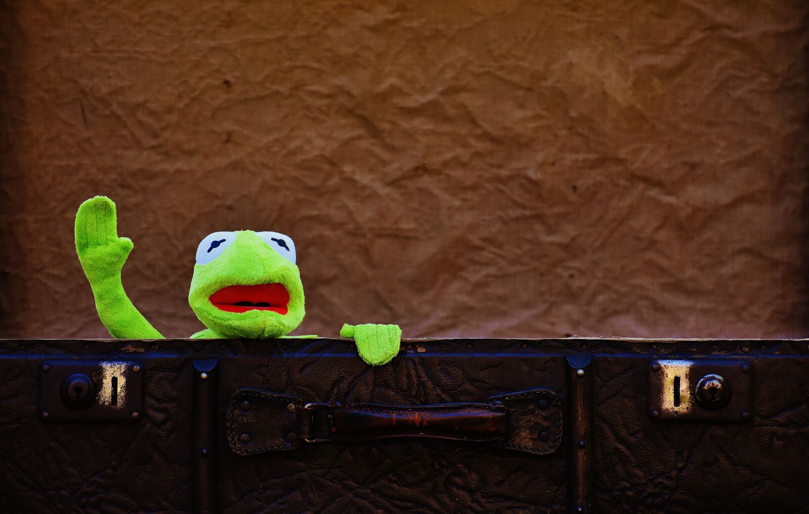 Nikon D7200 sample photo. Kermit, farewell, cute photography