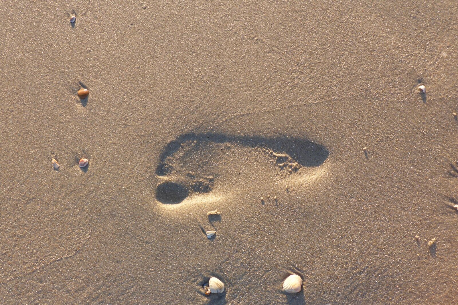 Panasonic Lumix DMC-TS5 (Lumix DMC-FT5) sample photo. Footprint, sand, beach photography