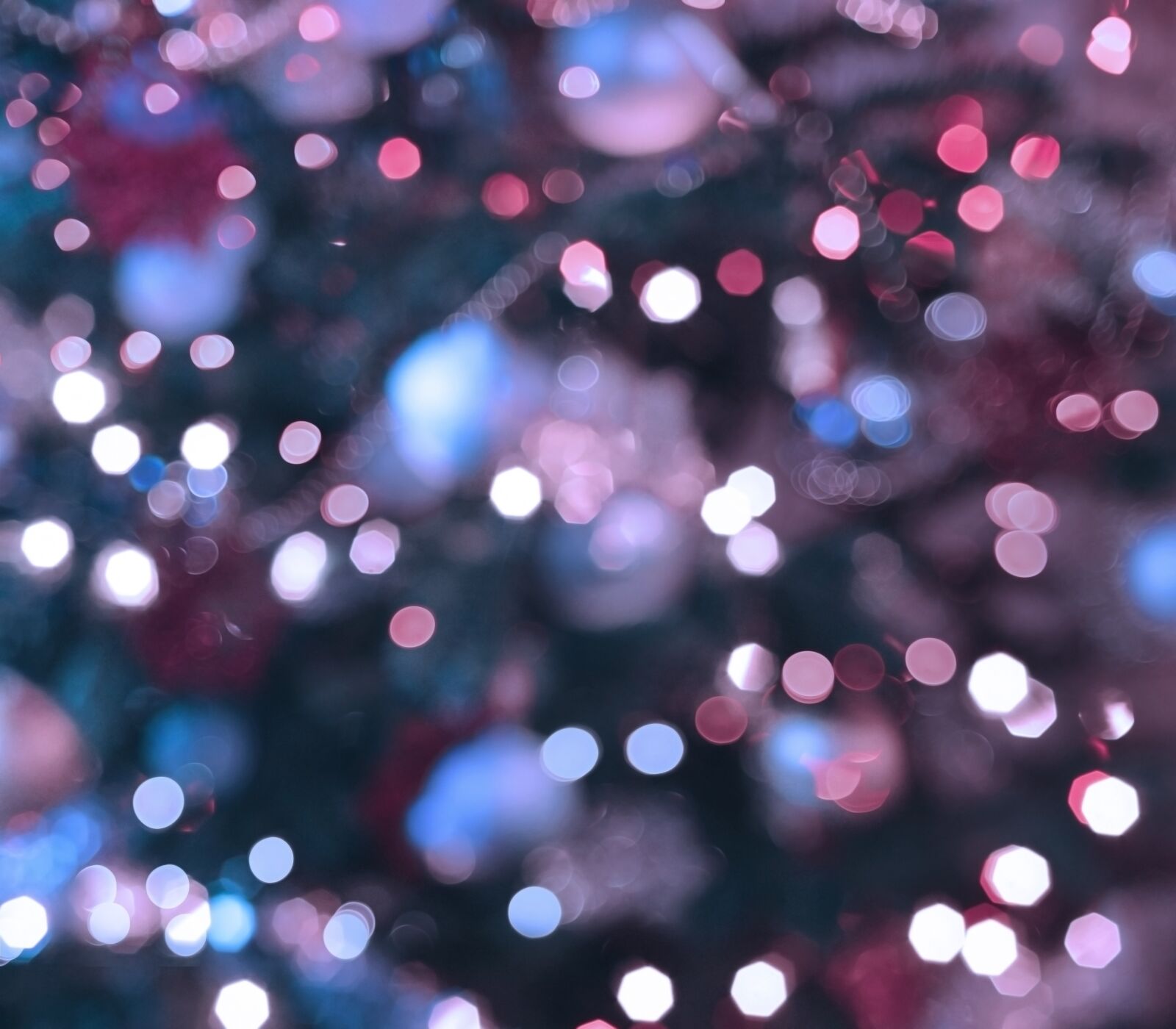 Nikon D810 sample photo. The background, bokeh, blur photography