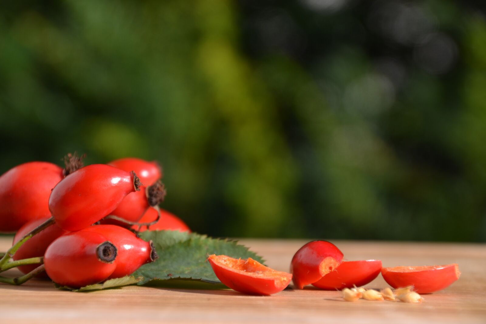Nikon D3100 sample photo. Rose hip, dog rose photography