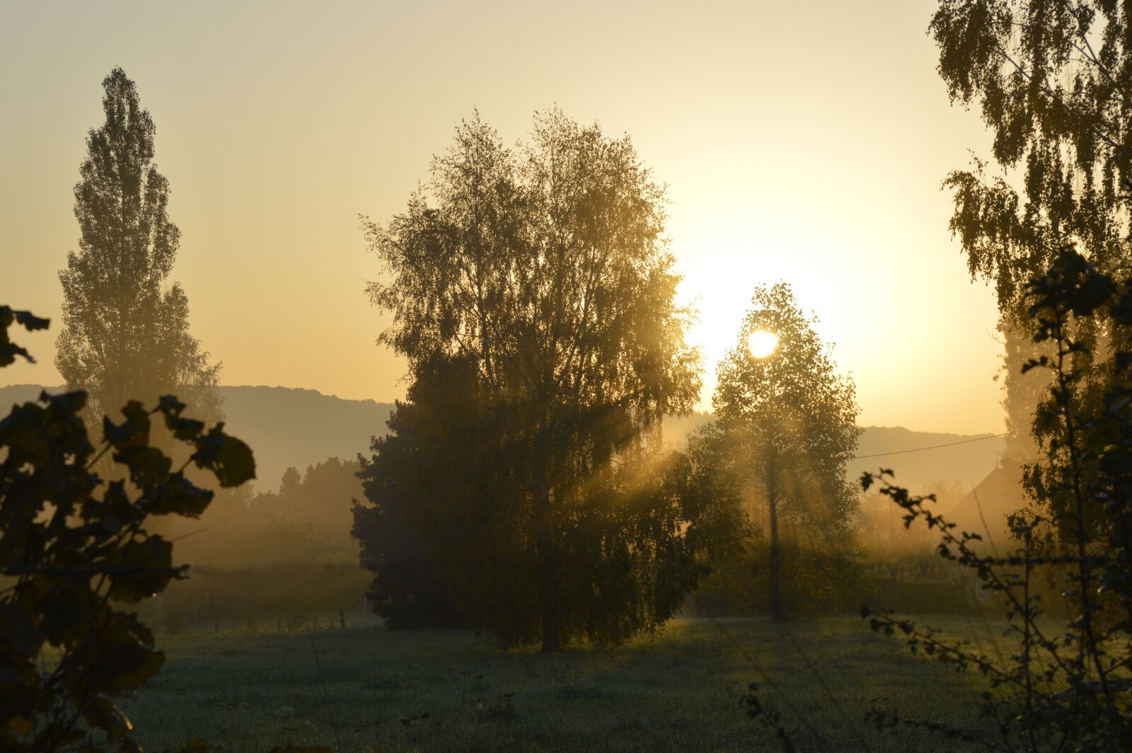 Nikon D3200 sample photo. Morning, sun, tree photography