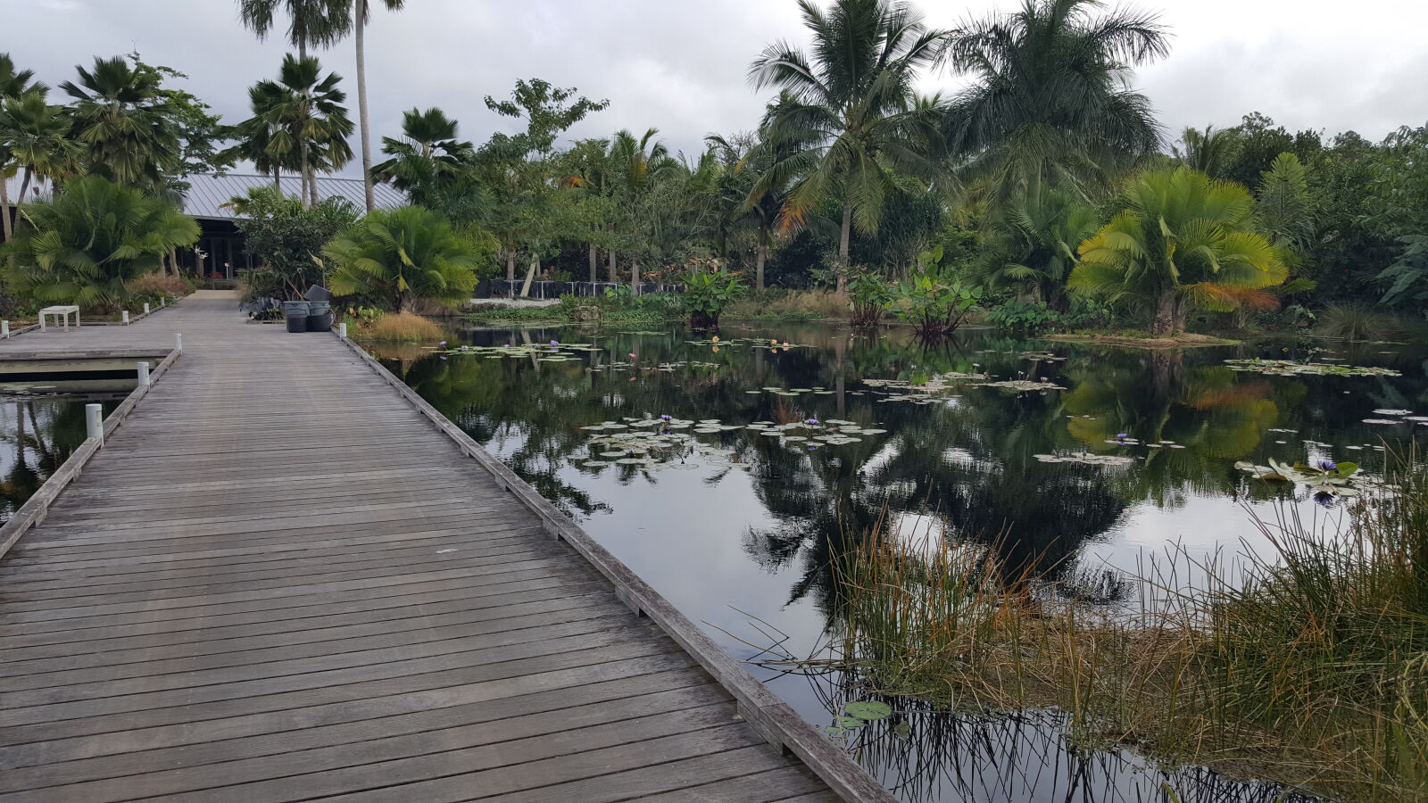 Samsung GALAXY S6 edge sample photo. Botanical, gardens photography