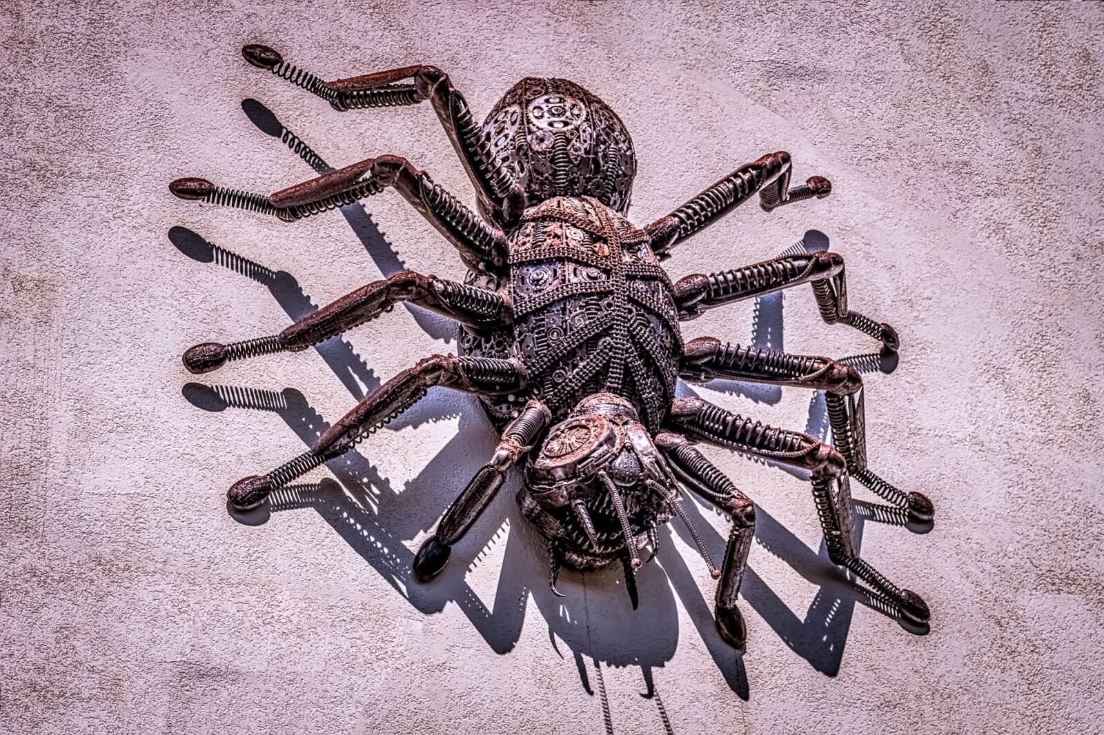 Canon EOS 100D (EOS Rebel SL1 / EOS Kiss X7) sample photo. Spider, giant, arachnid photography