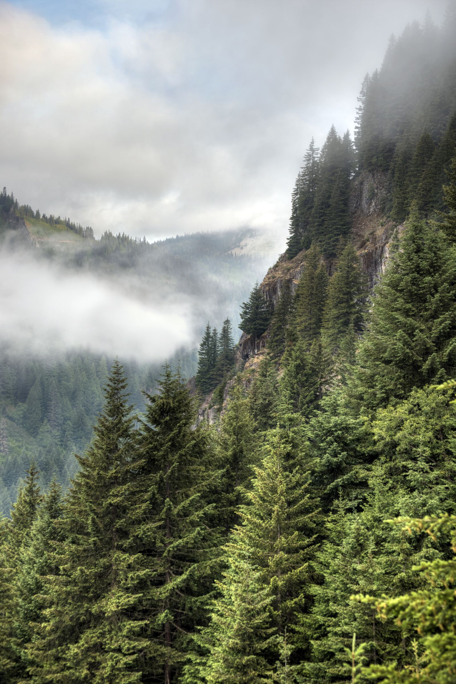 Nikon D610 sample photo. Stevens canyon, early, morning photography