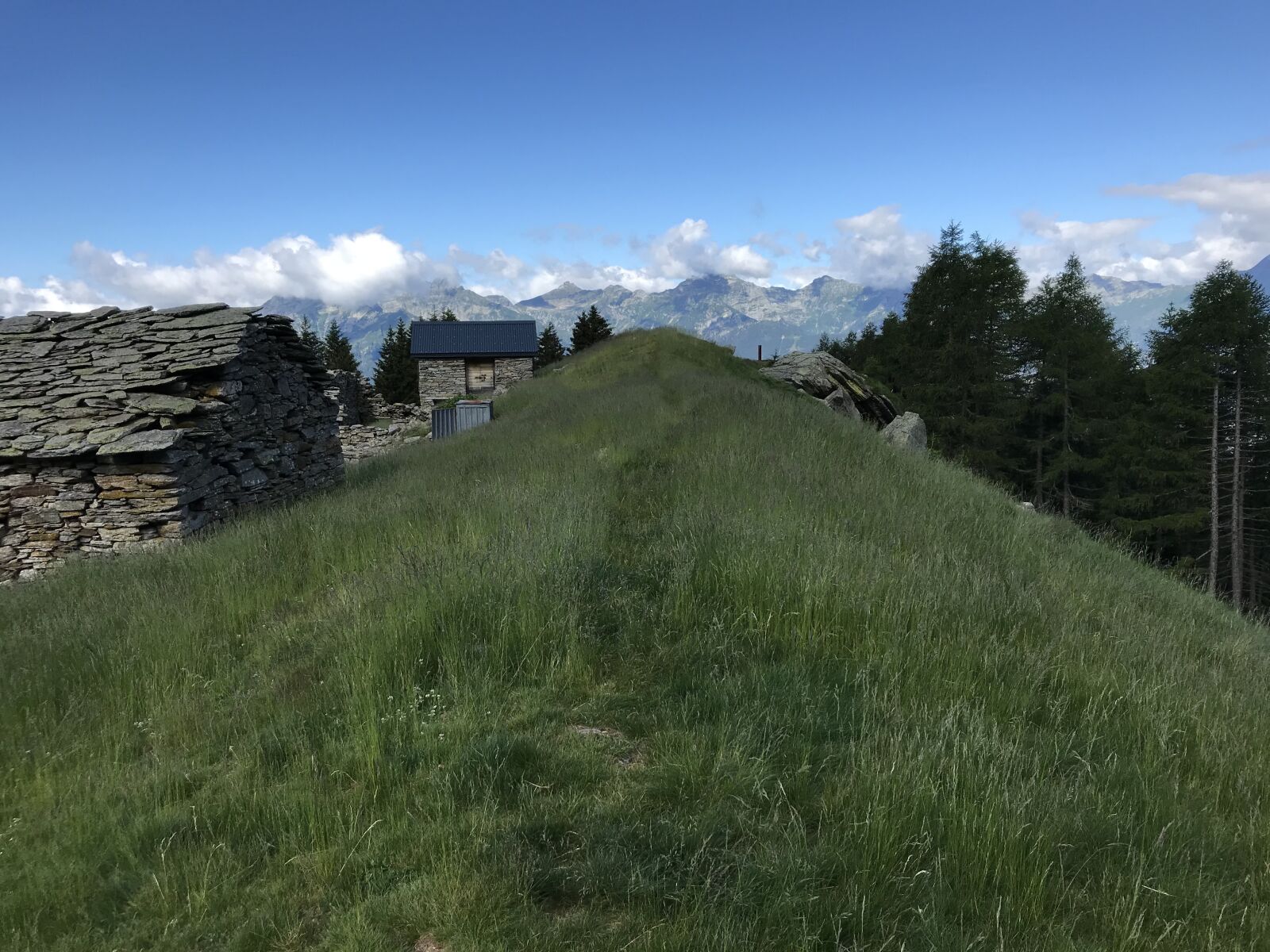 iPhone 7 back camera 3.99mm f/1.8 sample photo. Towards landarenca, alpe di photography