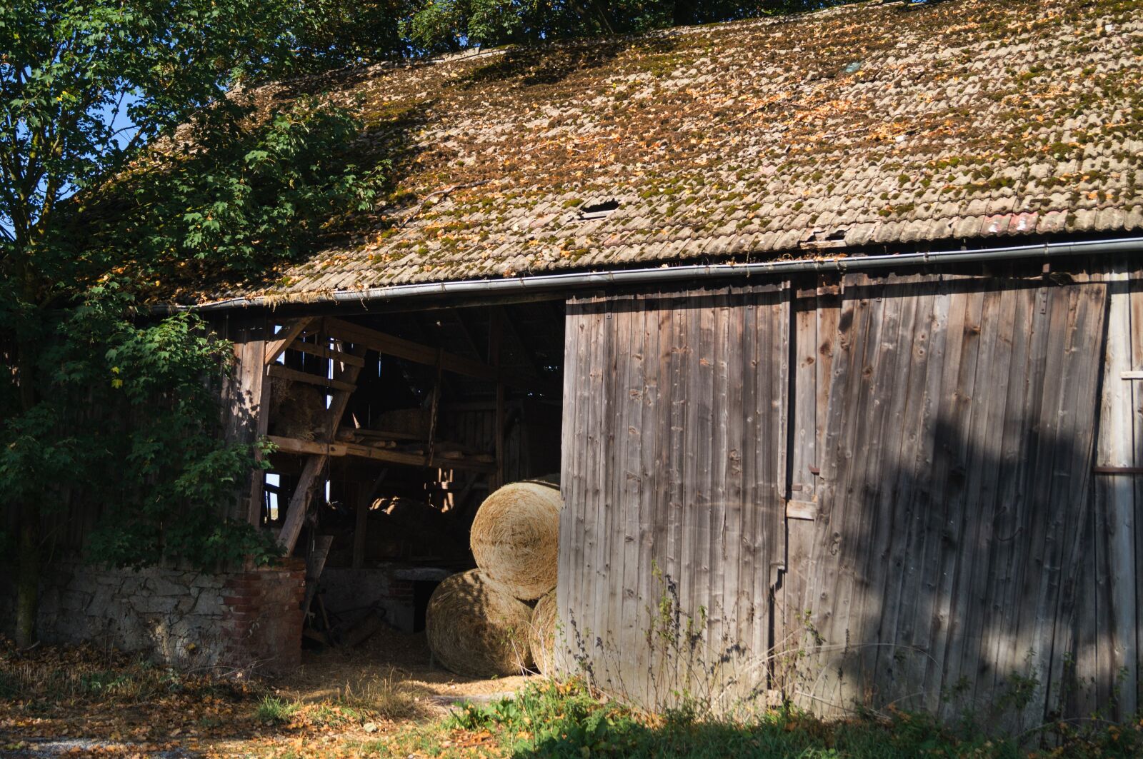 Sony SLT-A57 sample photo. Old barn, agriculture, hay photography
