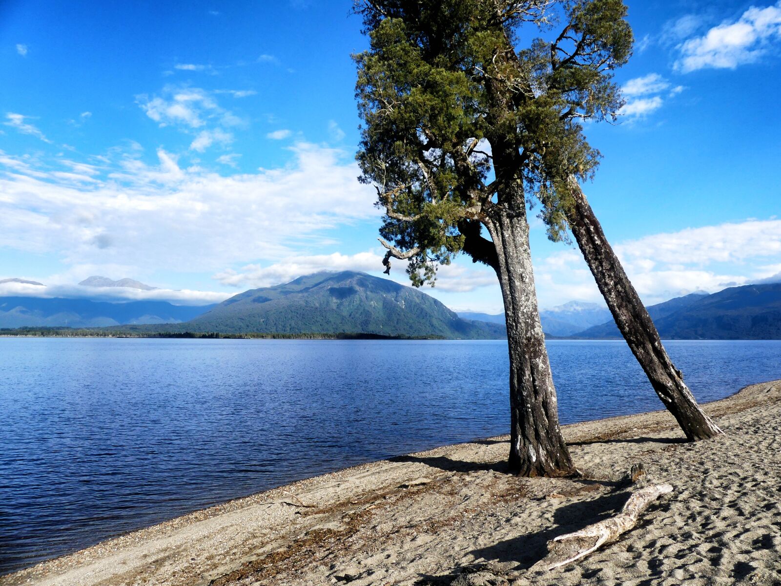 Panasonic Lumix DMC-FZ300 sample photo. Lake brunner, new zealand photography