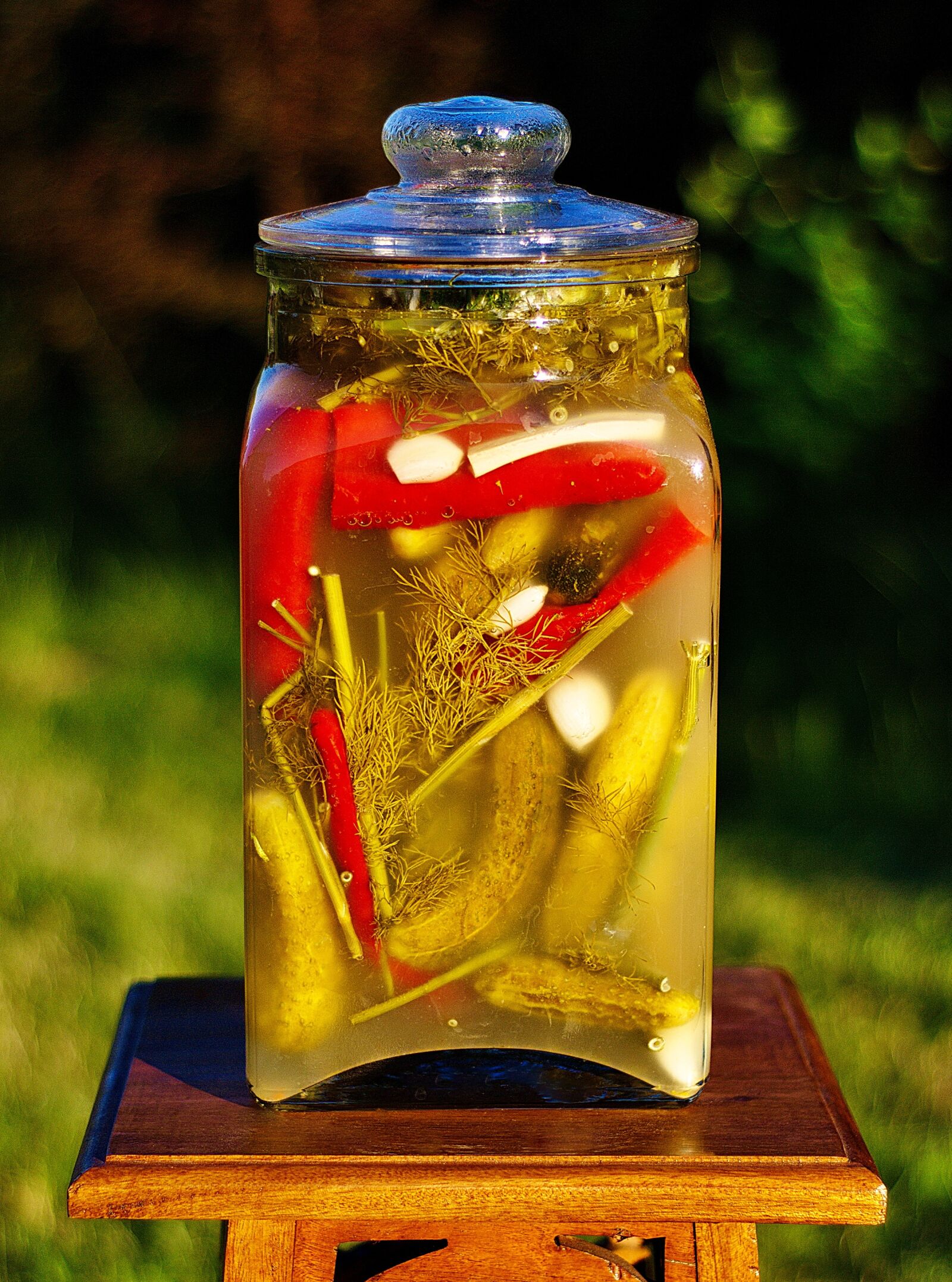 Nikon D80 sample photo. Cucumbers, pickled, preparations photography