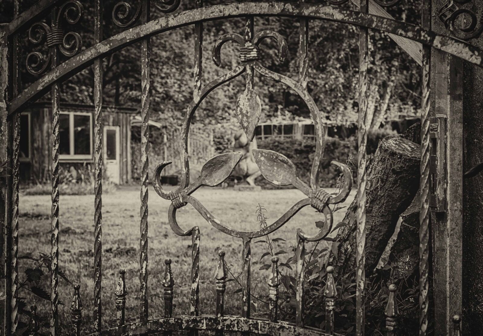 Nikon D3300 sample photo. Iron, object, fence, metal photography