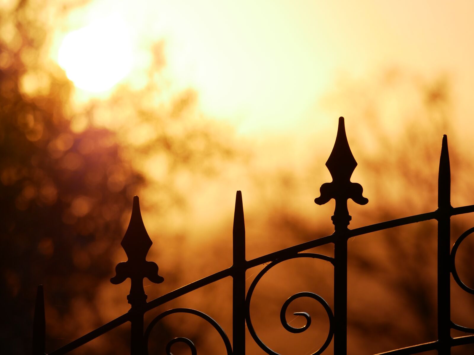Panasonic Lumix DMC-GX85 (Lumix DMC-GX80 / Lumix DMC-GX7 Mark II) sample photo. Sunset, outdoor, closing photography
