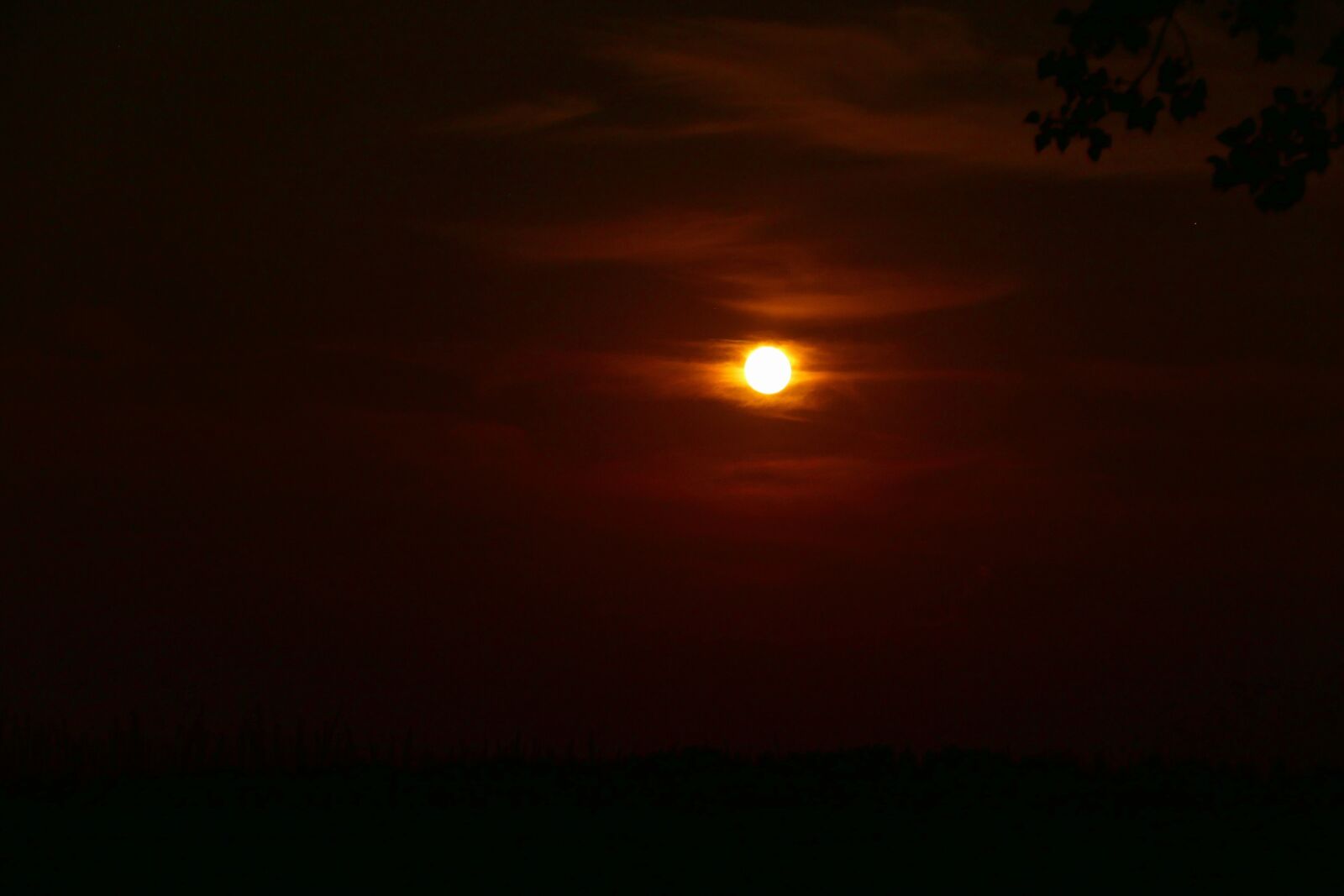 Panasonic Lumix DMC-FZ1000 sample photo. Month, night, country photography