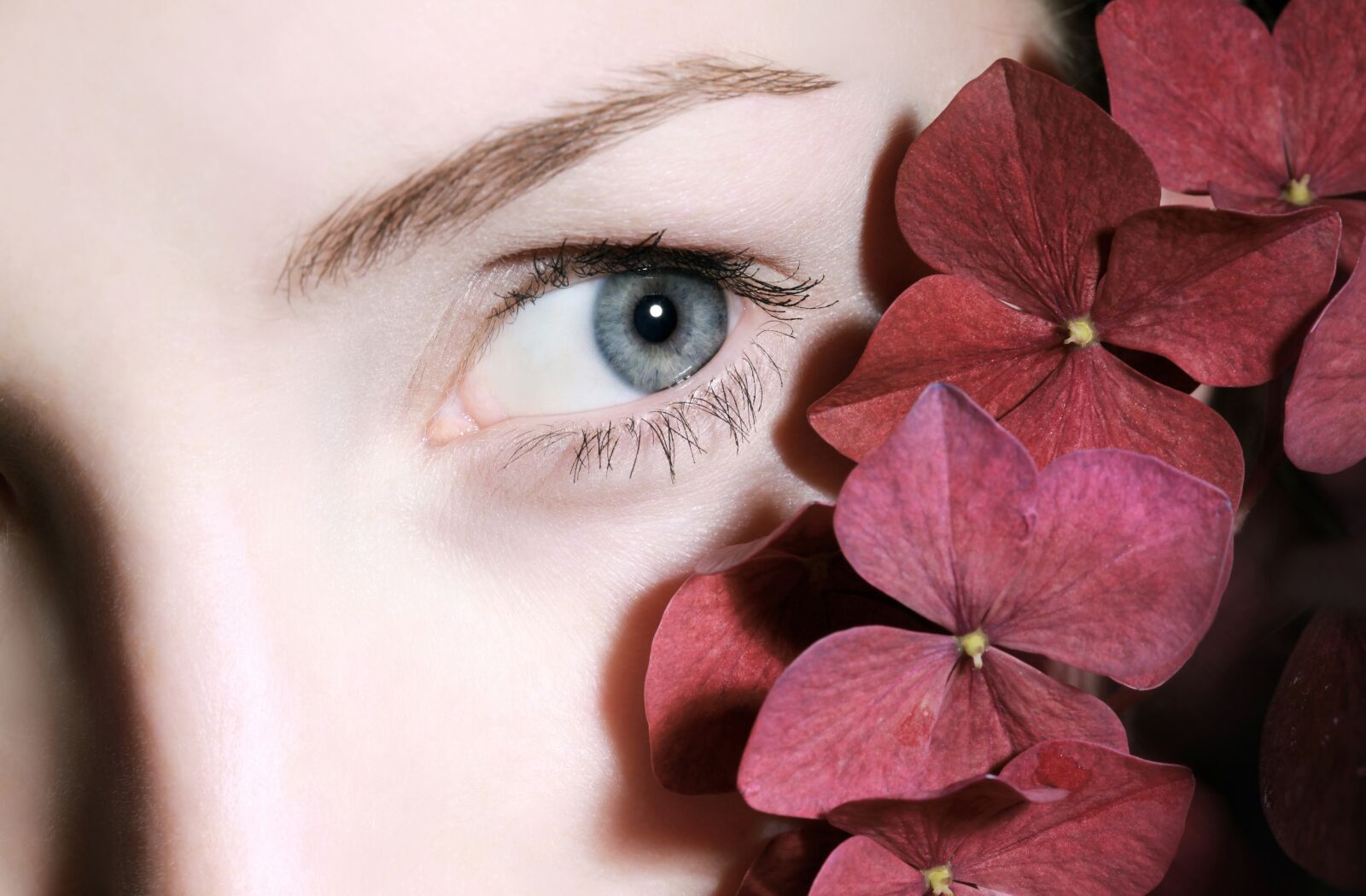 Canon EOS 5D Mark II sample photo. Blue, eye, with photography