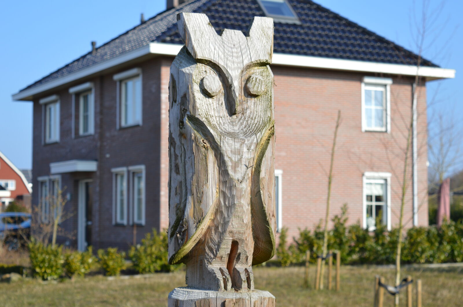 Nikon D3200 sample photo. Owl, wood photography