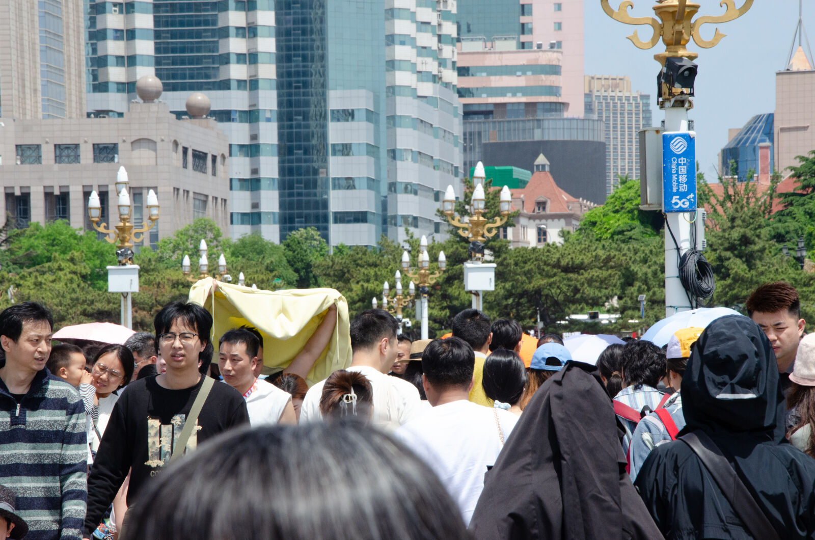 Nikon D7000 sample photo