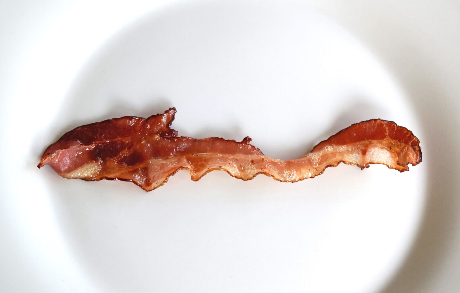 Nikon D3300 sample photo. Bacon, breakfast, fried, bacon photography