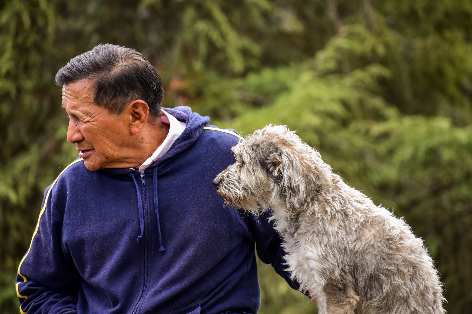 Nikon D3400 sample photo. Older, dog, old man photography