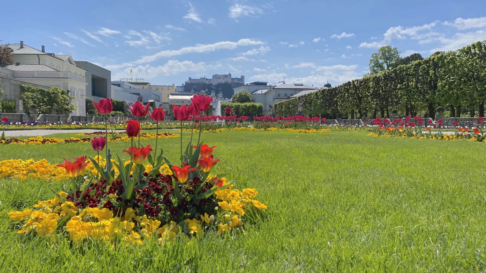 Apple iPhone 11 sample photo. Mirabell gardens, salzburg, austria photography